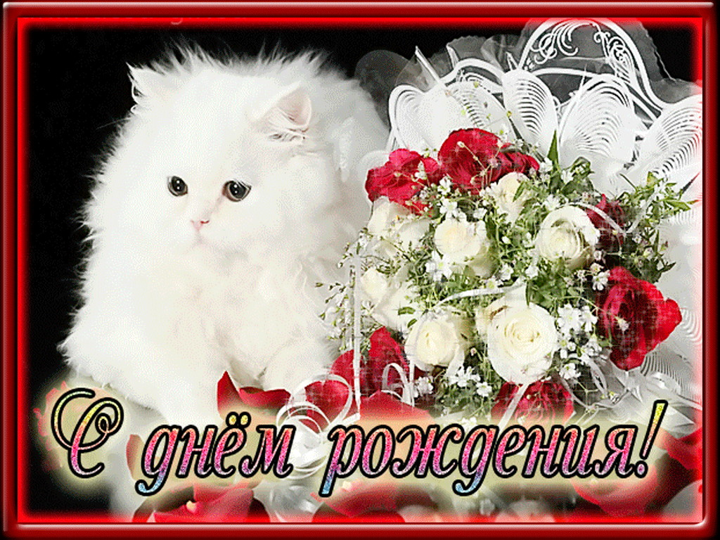 Котёнок на анимированной открытке с Днём рождения №2487. Открытки. Поздравительные открытки на День рождения.