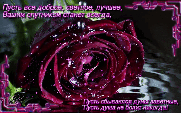 Пусть всё доброе, светлое, лучшее Вашим спутником станет всегда! Пусть сбываются думы заветные, Пусть душа не болит никогда №2491. Открытки. Поздравительные открытки на День рождения.