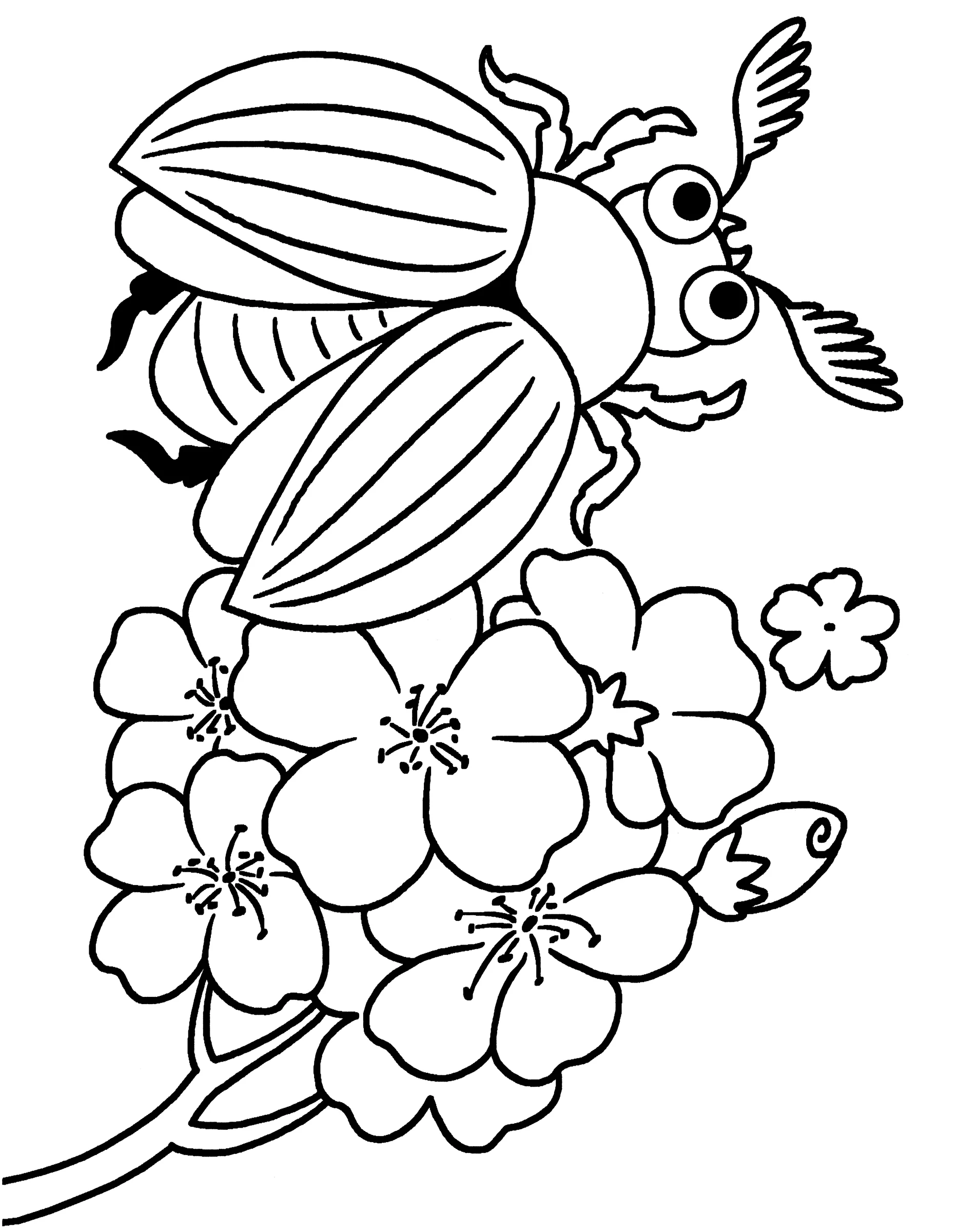 Большой майский жук №3256. Обучающие и развивающие раскраски для детского сада, для начальных классов. Насекомые.