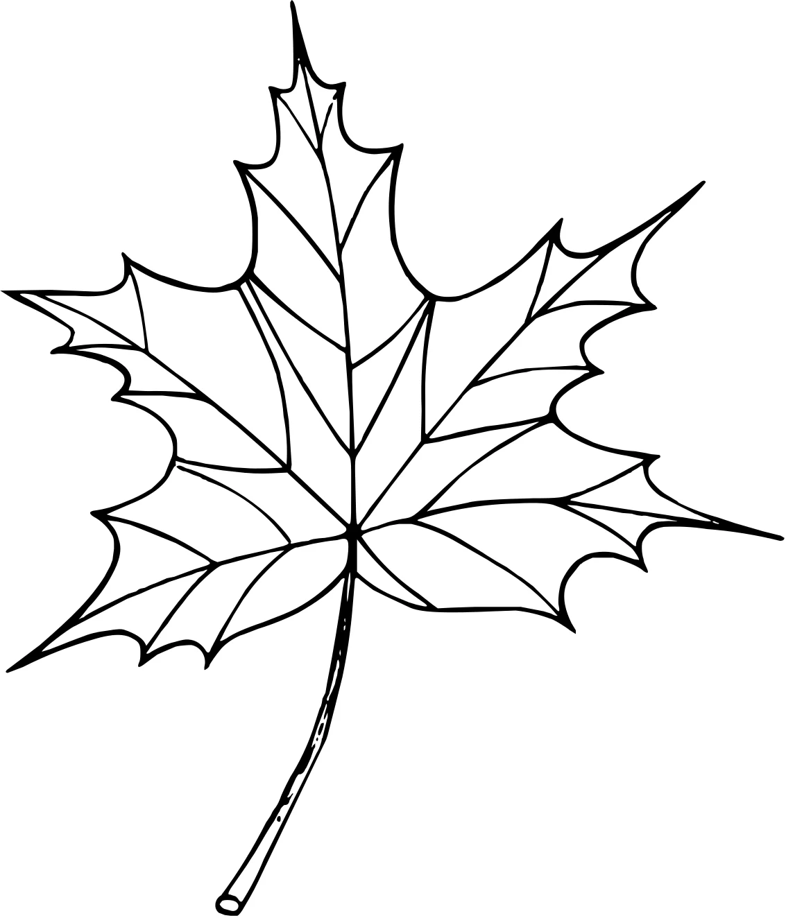 Нарисованные листья №5131. Обучающие и развивающие раскраски для детского сада, для начальных классов. Листья Одиночные листочки.