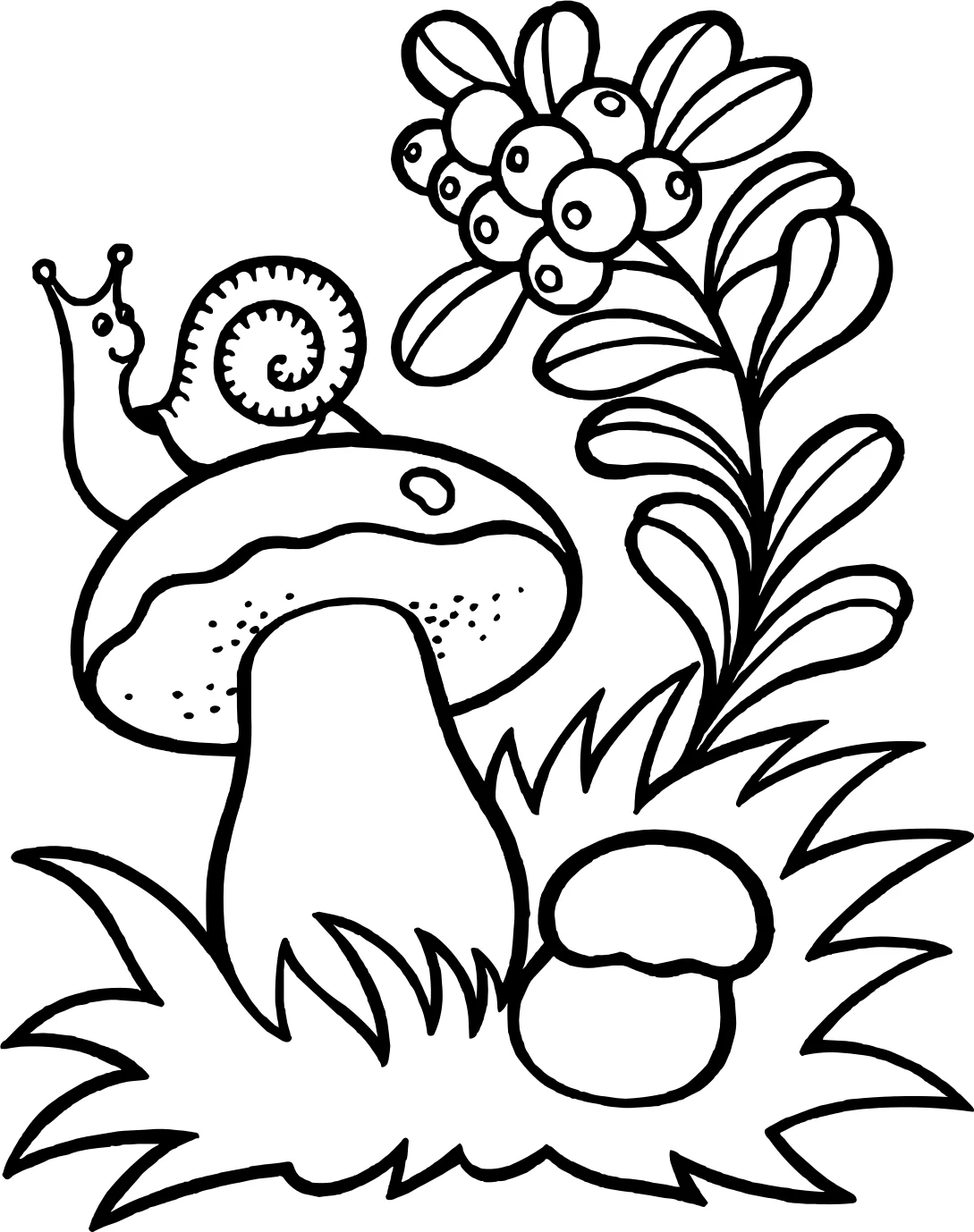 Грибы с улиткой от Mushroom №5180. Обучающие и развивающие раскраски для детского сада, для начальных классов. Грибы.