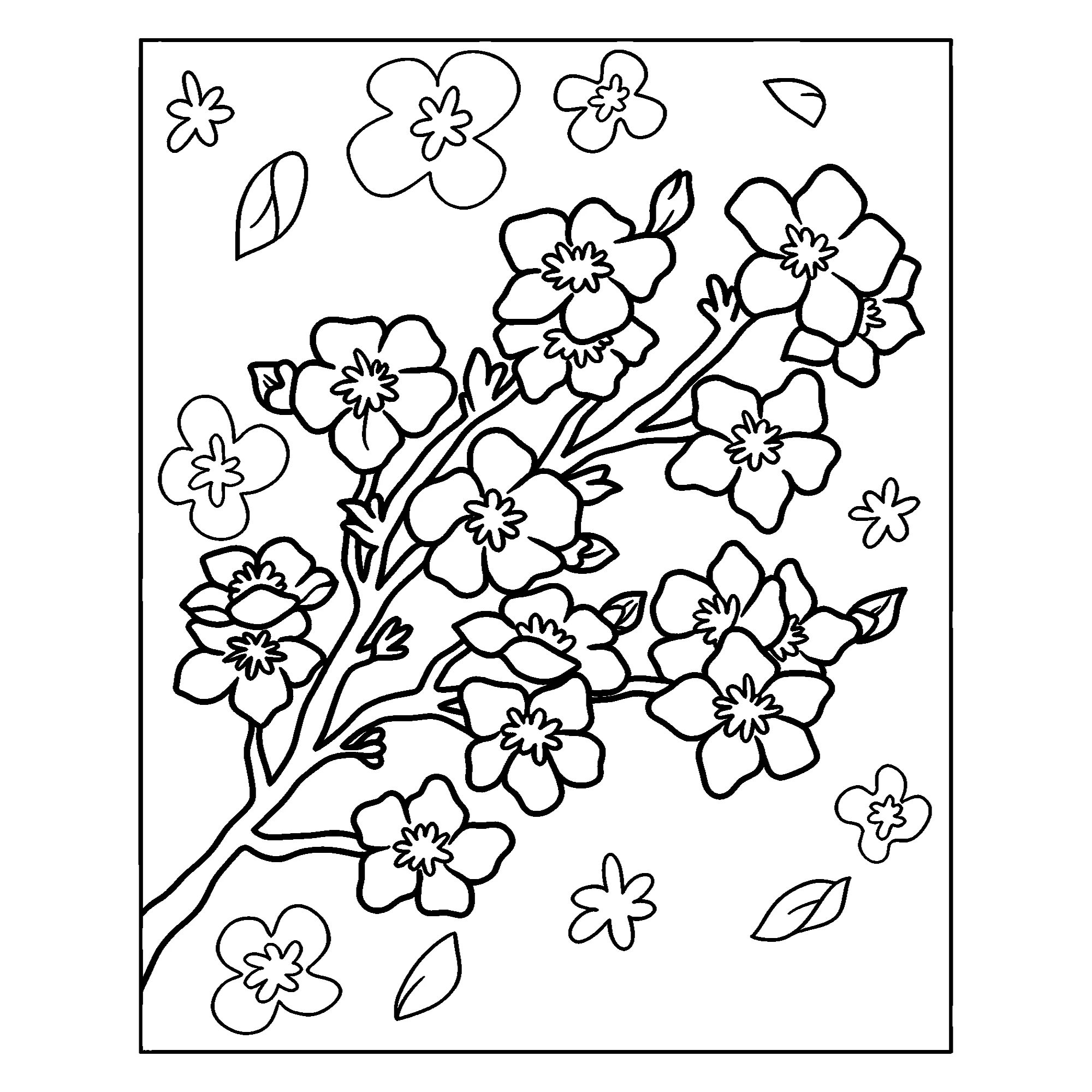 Цветы вишни Картинка-раскраска №3935. Обучающие и развивающие раскраски для детского сада, для начальных классов. Цветы.