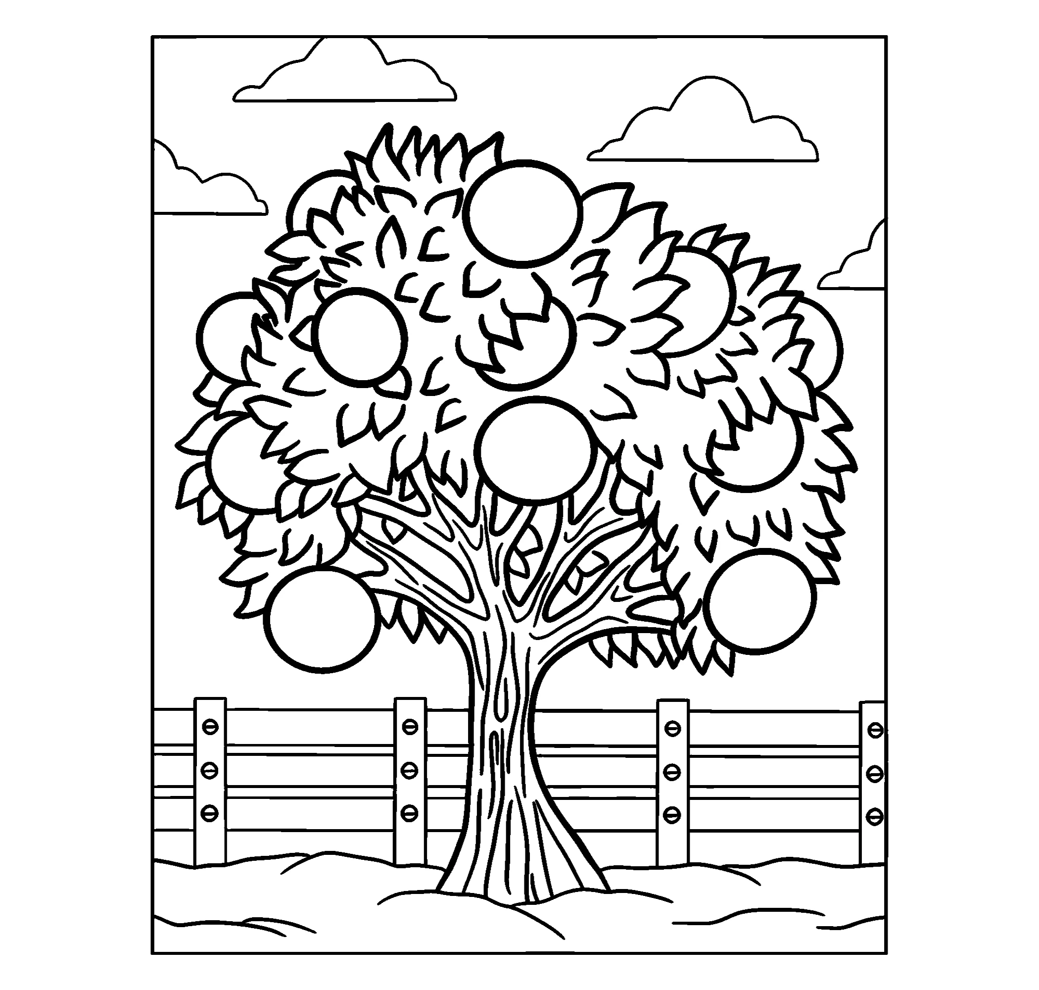 Апельсиновое дерево №3896. Обучающие и развивающие раскраски для детского сада, для начальных классов. Деревья.