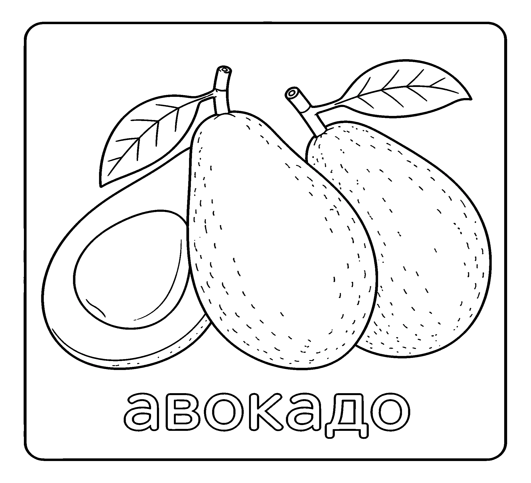 Авокадо №3738. Обучающие и развивающие раскраски для детского сада, для начальных классов. Фрукты.