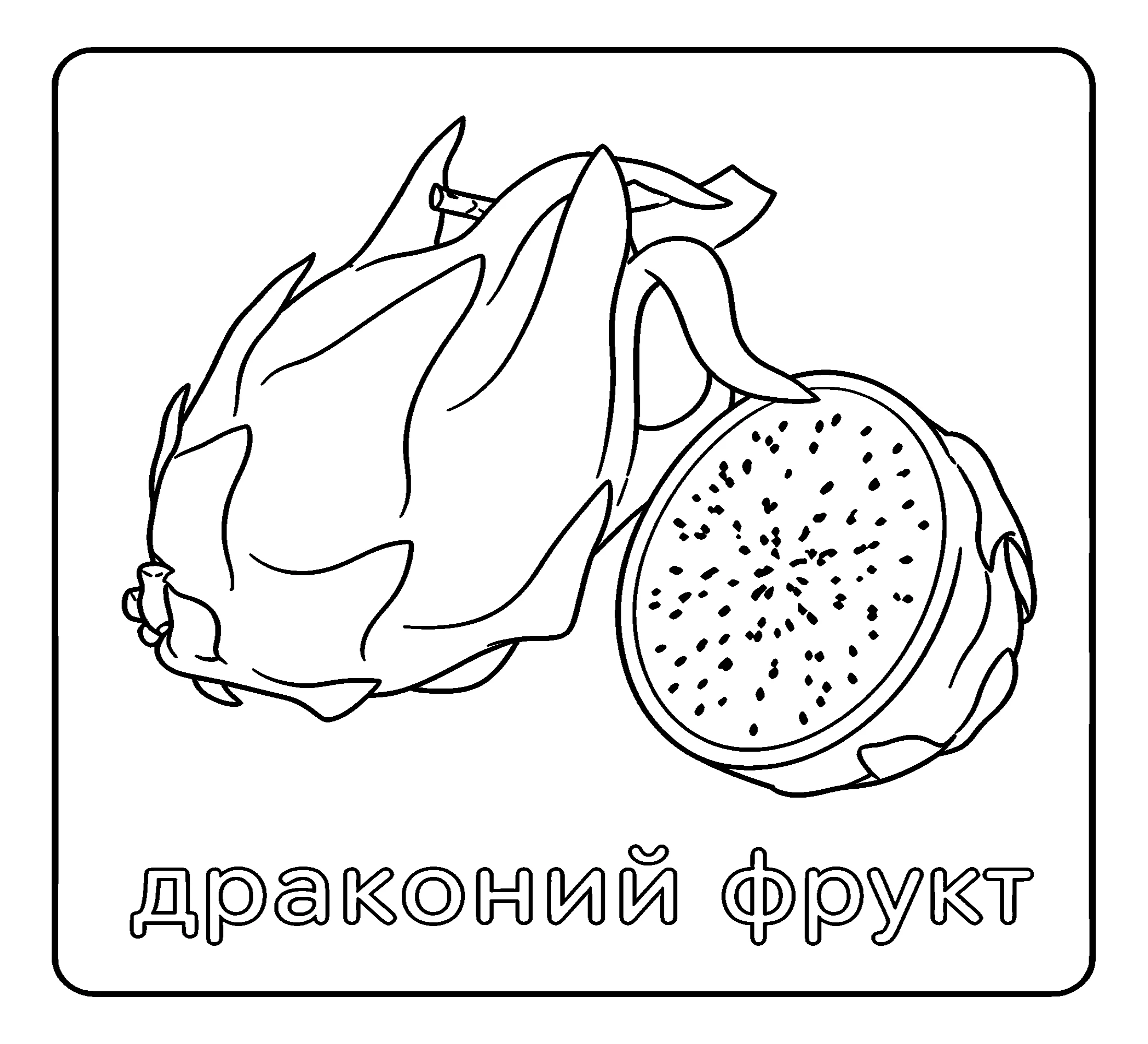 Драконий фрукт Картинка для печати №3736. Обучающие и развивающие раскраски для детского сада, для начальных классов. Фрукты.