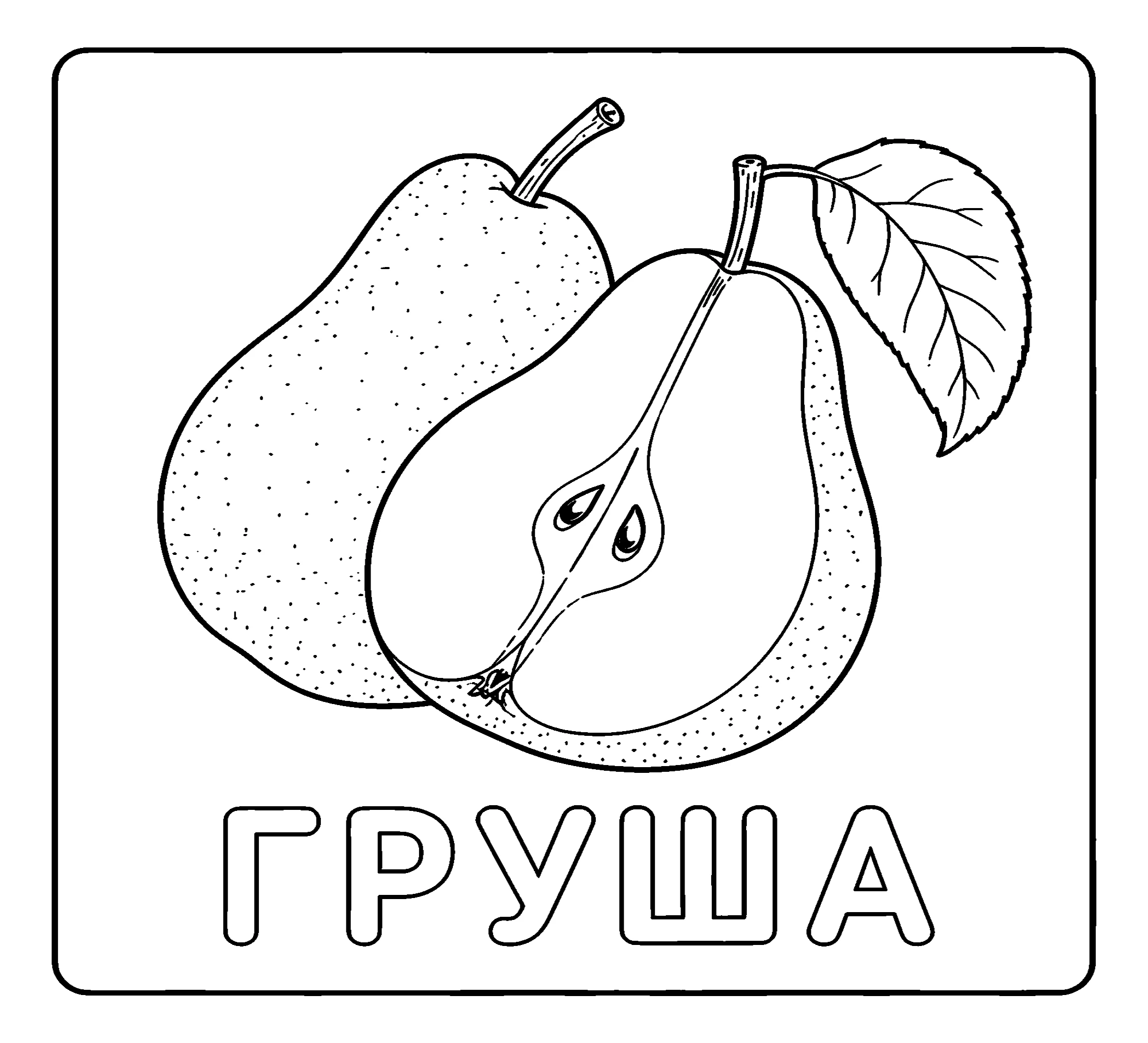 Фрукты Груша №3742. Обучающие и развивающие раскраски для детского сада, для начальных классов. Фрукты.