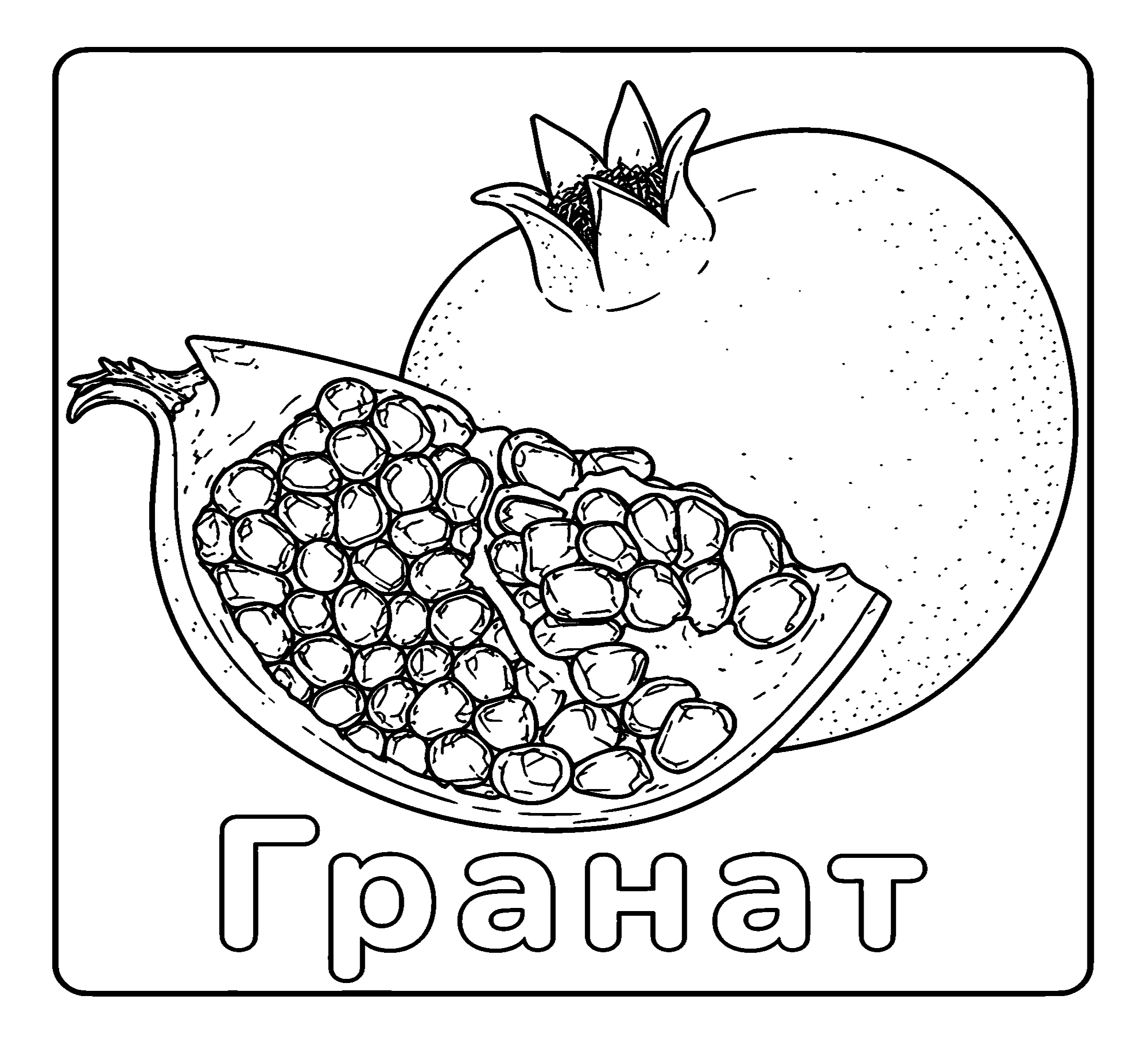 Гранат Бесплатная распечатка №3735. Обучающие и развивающие раскраски для детского сада, для начальных классов. Фрукты.