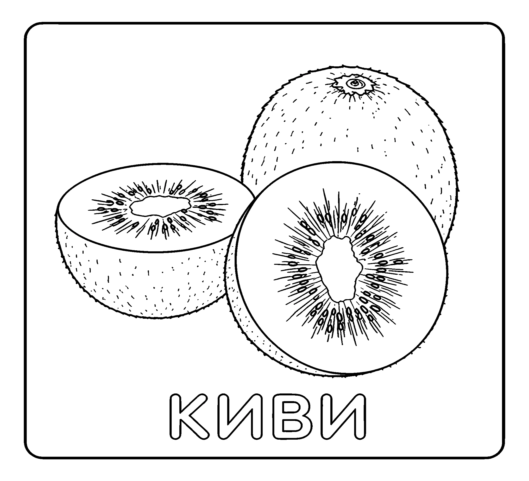 Киви №3739. Обучающие и развивающие раскраски для детского сада, для начальных классов. Фрукты.