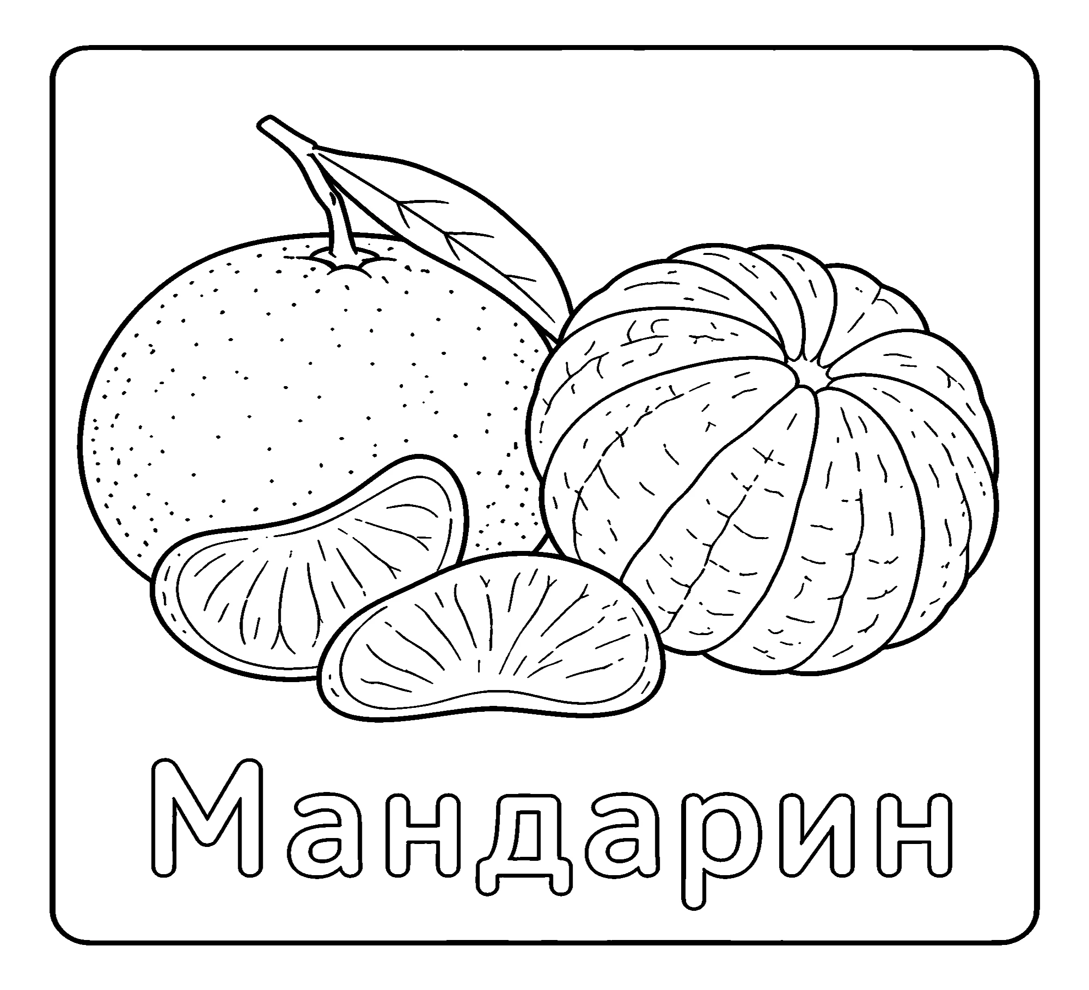 Мандарин №3727. Обучающие и развивающие раскраски для детского сада, для начальных классов. Фрукты.