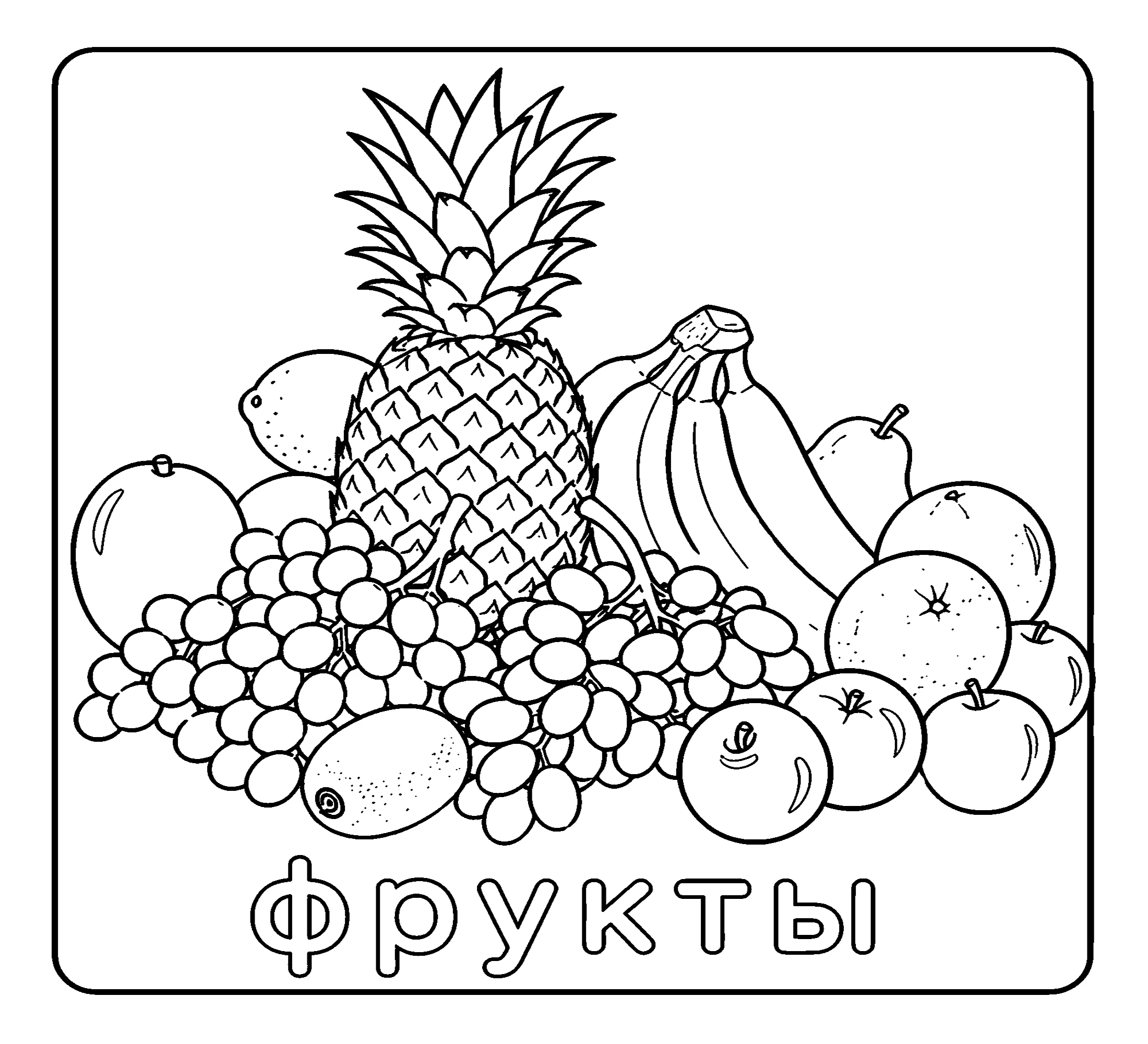 Разные фрукты Распечатка №3733. Обучающие и развивающие раскраски для детского сада, для начальных классов. Фрукты.