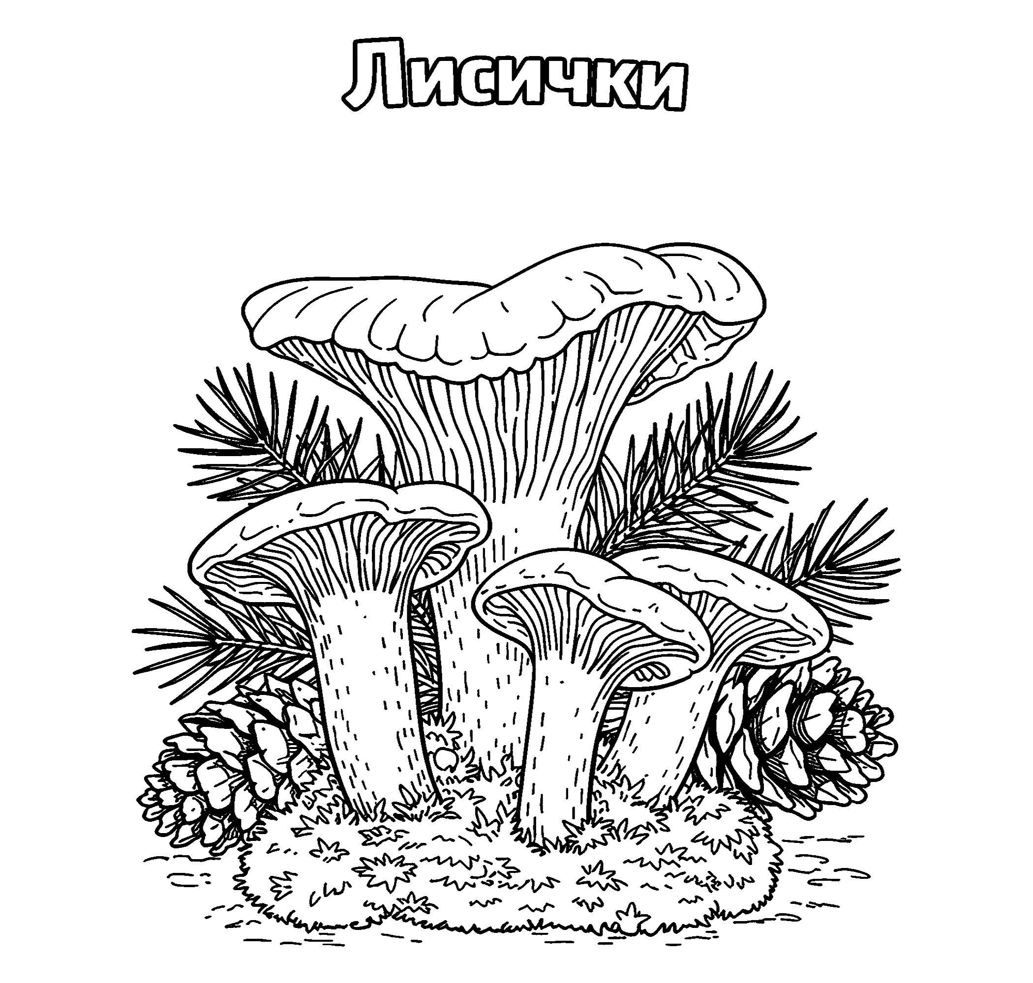 Лисички №3825. Обучающие и развивающие раскраски для детского сада, для начальных классов. Грибы.