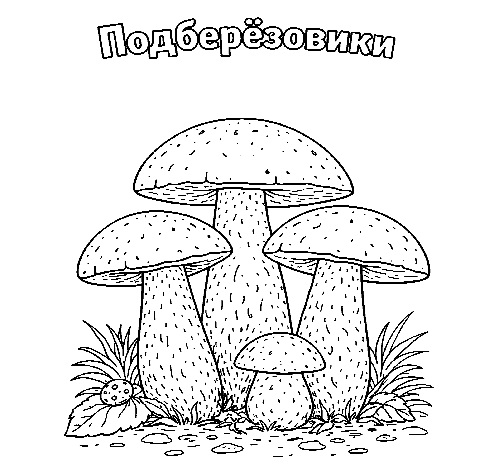 Подберёзовики Бесплатная распечатка №3829. Обучающие и развивающие раскраски для детского сада, для начальных классов. Грибы.
