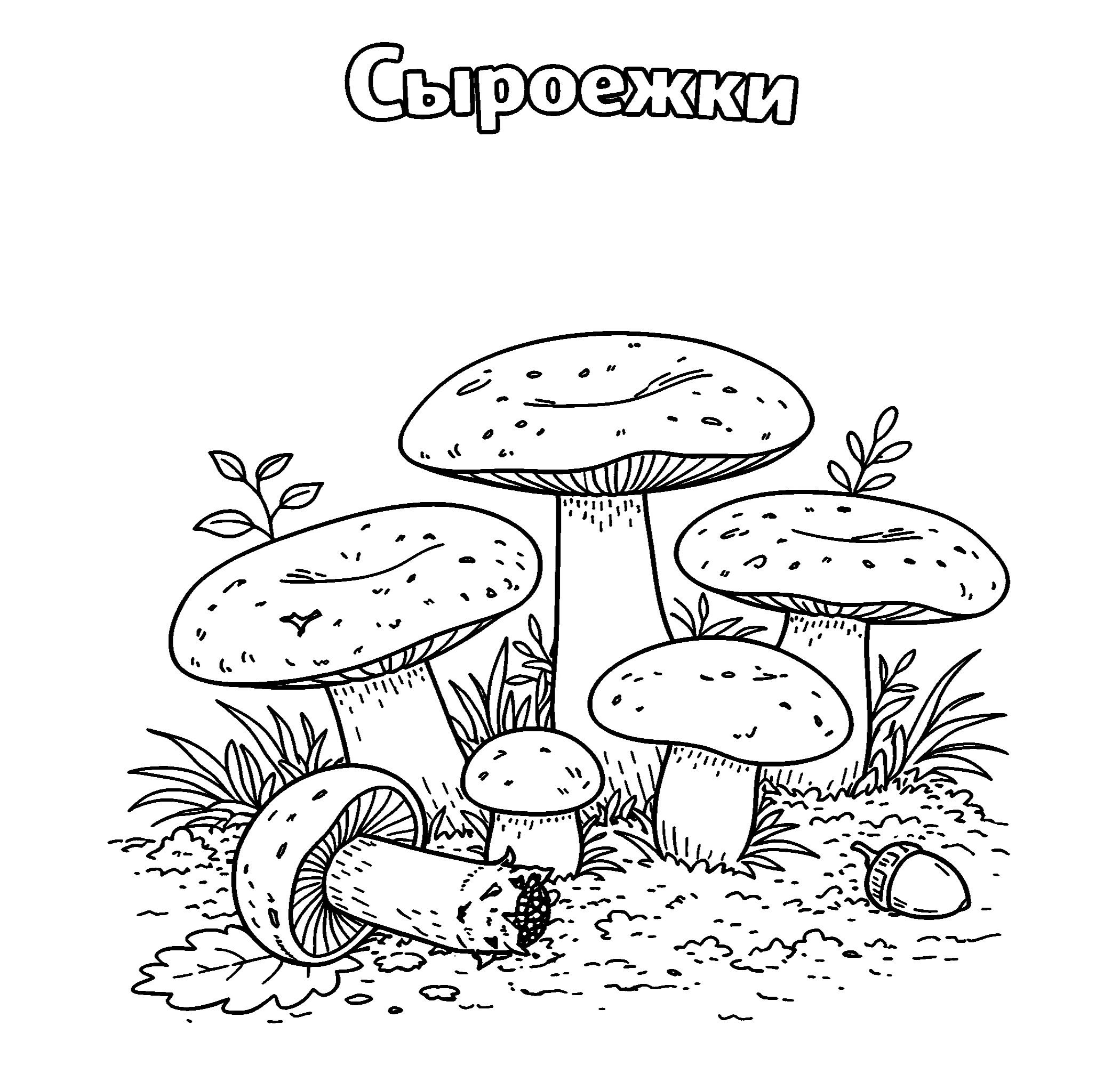 Сыроежки №3843. Обучающие и развивающие раскраски для детского сада, для начальных классов. Грибы.