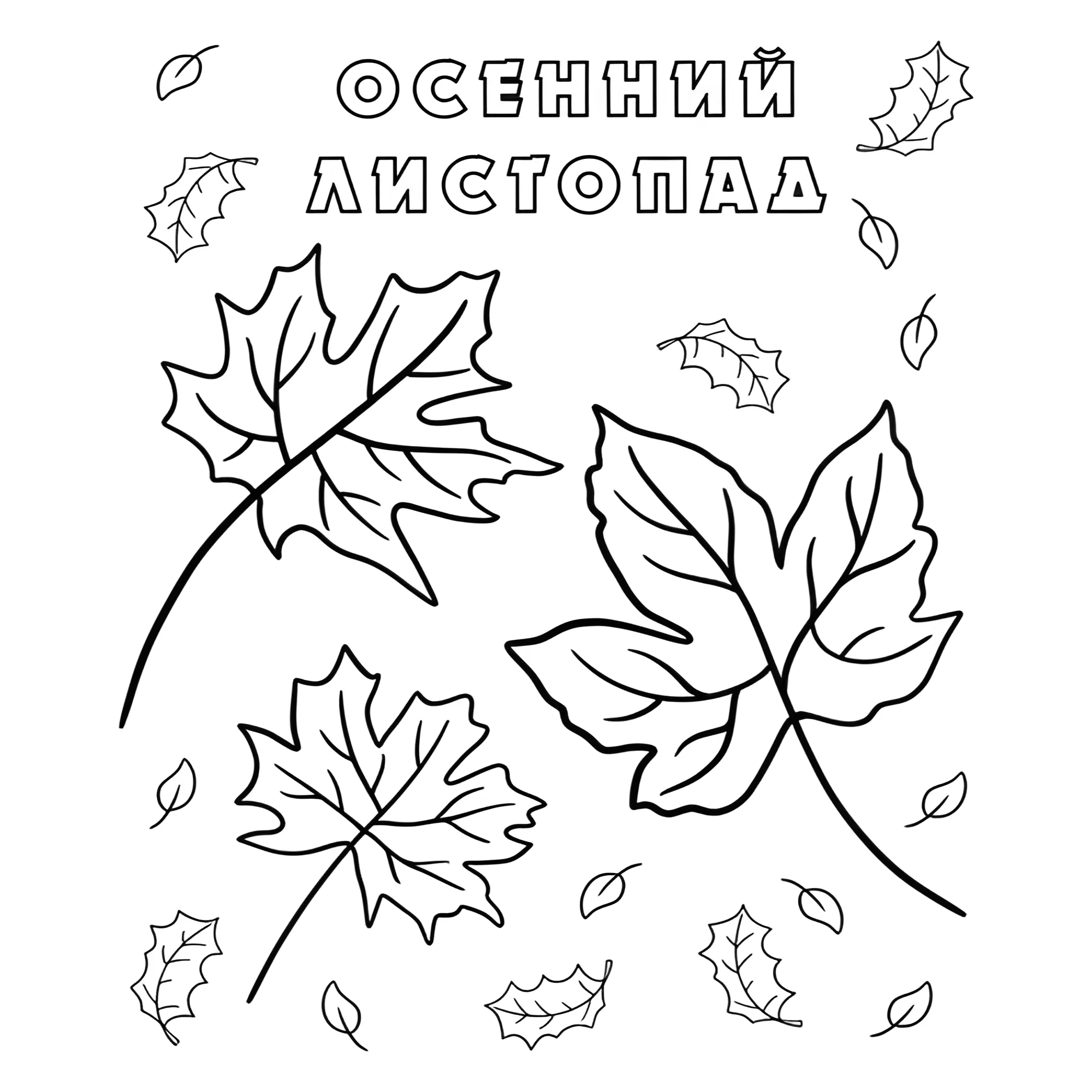 Осенний кленовый листопад №4075. Обучающие и развивающие раскраски для детского сада, для начальных классов. Листья Композиции из листьев.