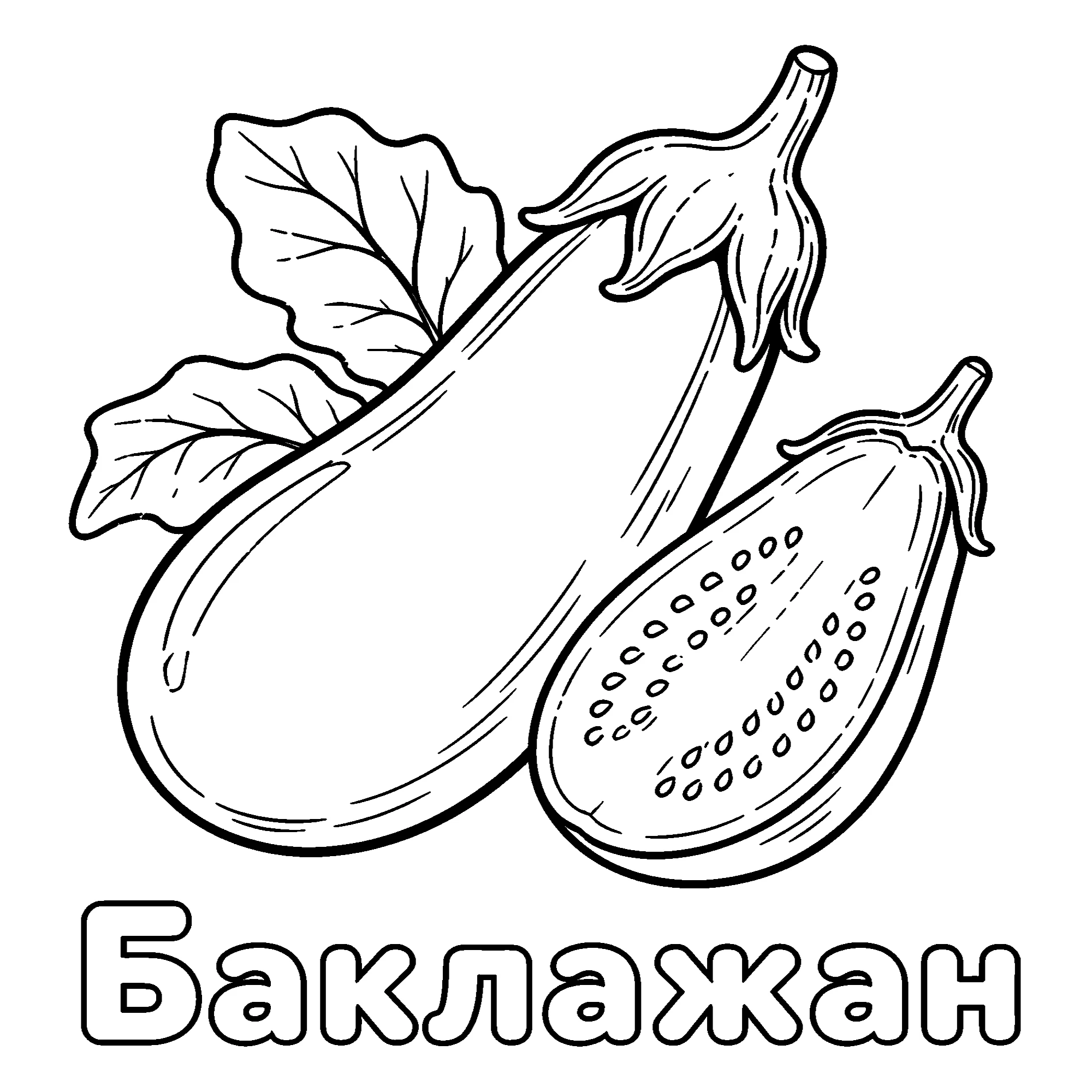Баклажан №3677. Обучающие и развивающие раскраски для детского сада, для начальных классов. Овощи.