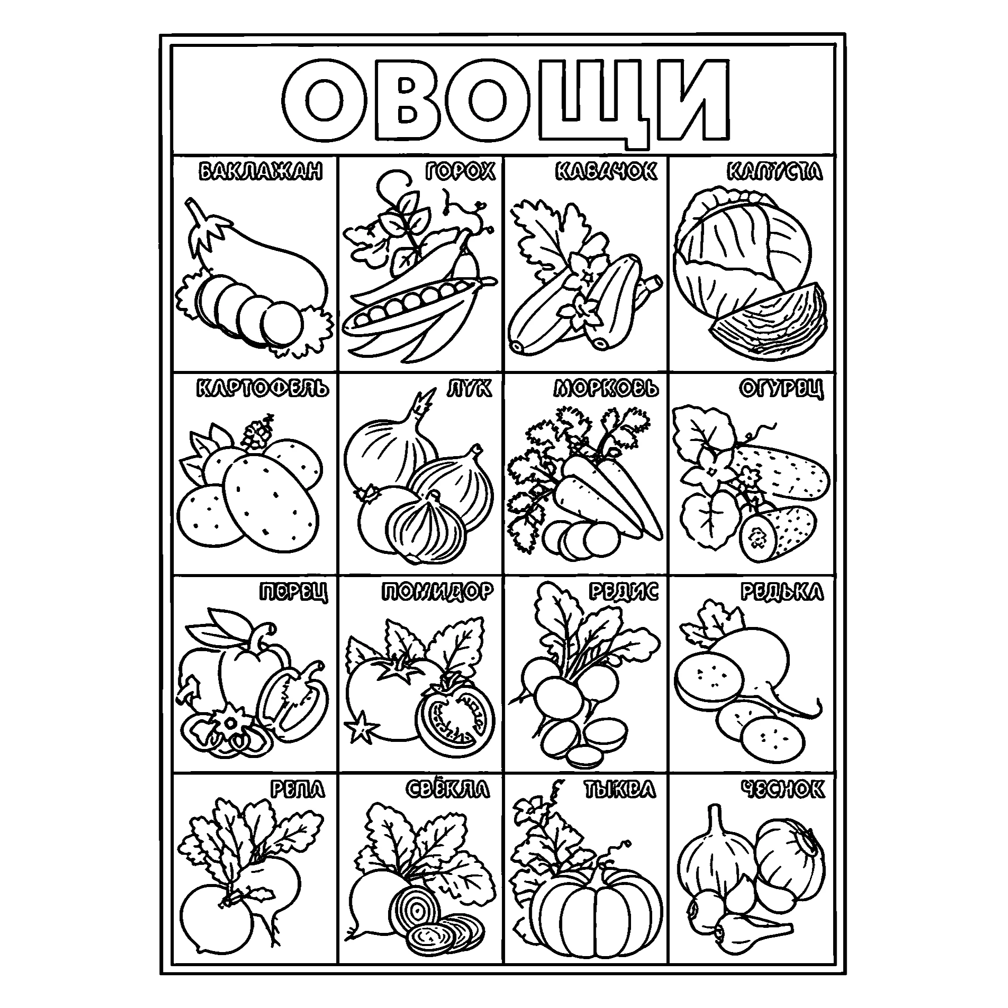 Большой набор овощей №3669. Обучающие и развивающие раскраски для детского сада, для начальных классов. Овощи.