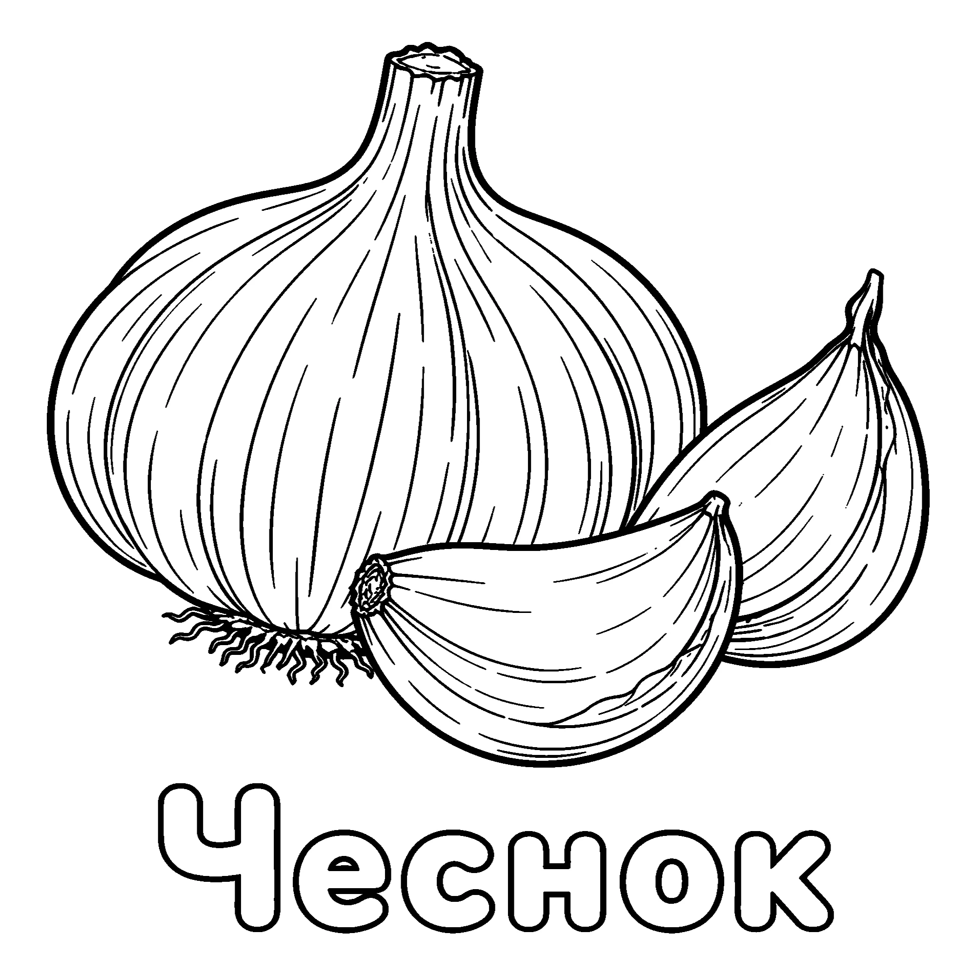 Чеснок №3684. Обучающие и развивающие раскраски для детского сада, для начальных классов. Овощи.