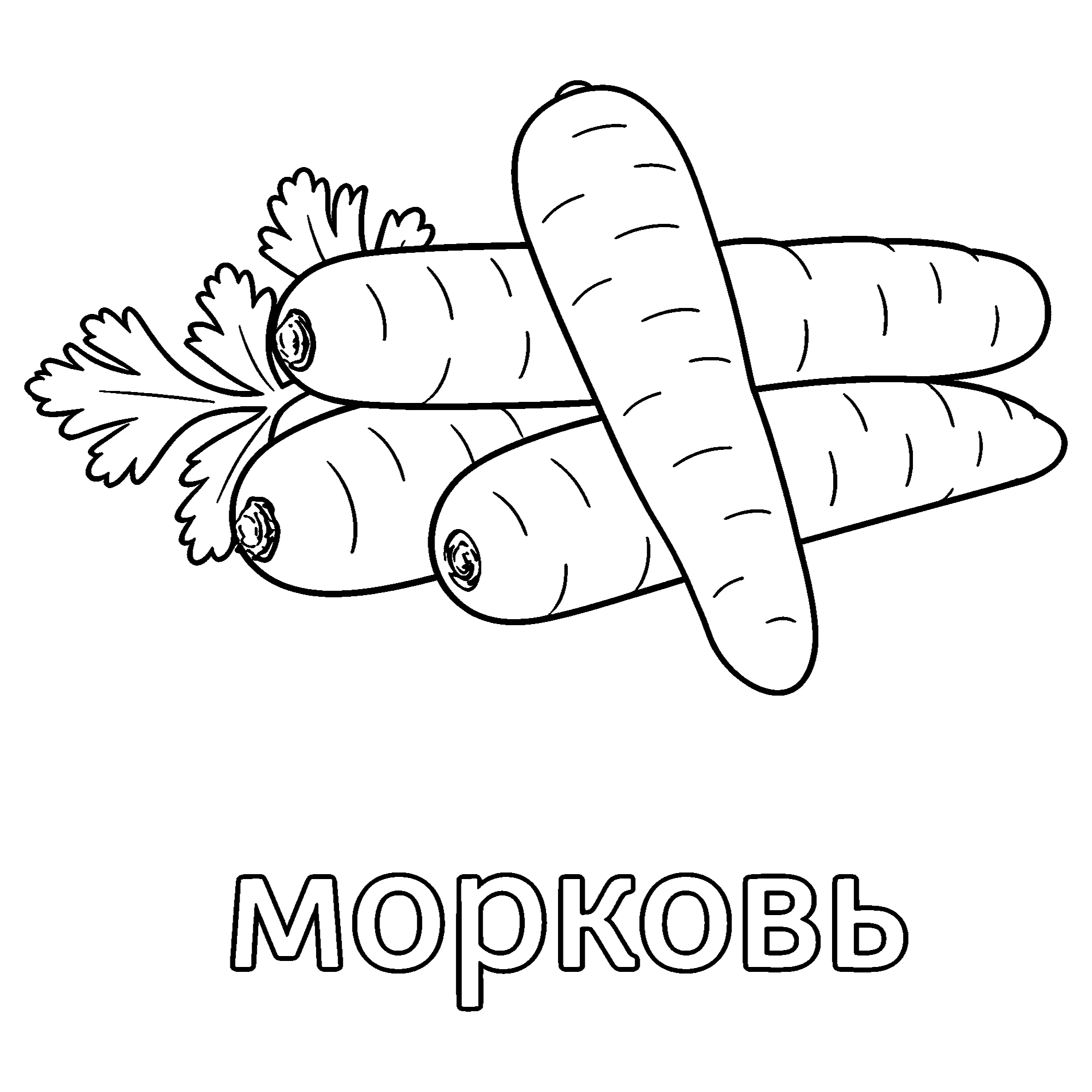 Четыре морковки №3703. Обучающие и развивающие раскраски для детского сада, для начальных классов. Овощи.