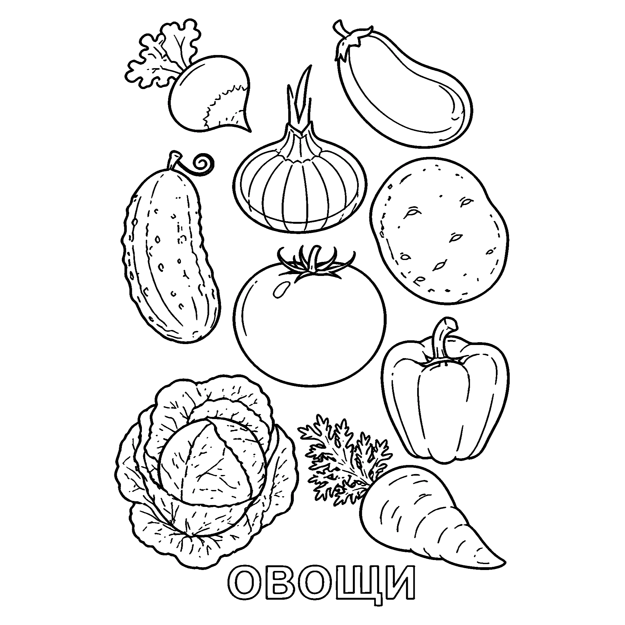 Коллекция овощей для детей Распечатка №3670. Обучающие и развивающие раскраски для детского сада, для начальных классов. Овощи.