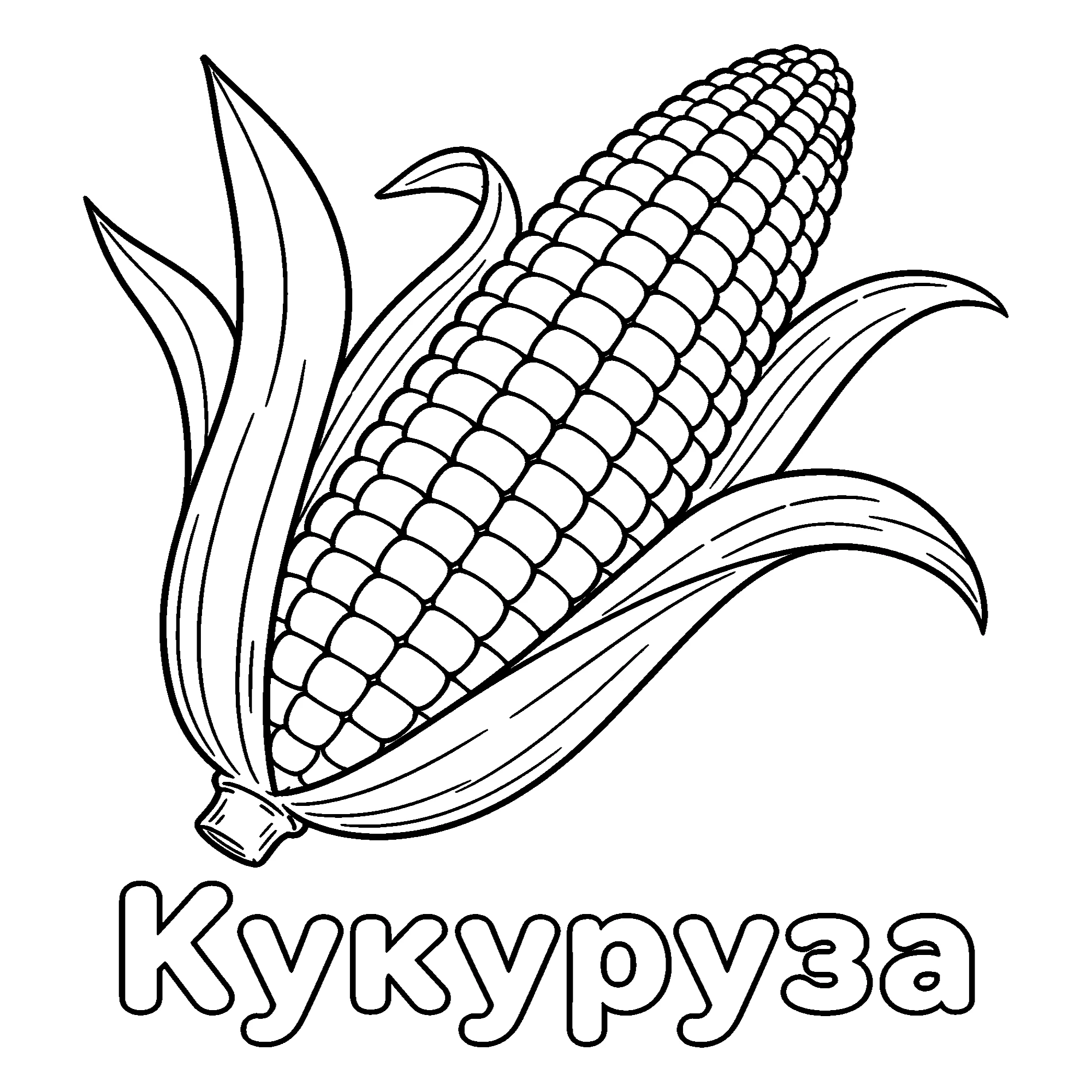 Кукуруза №3662. Обучающие и развивающие раскраски для детского сада, для начальных классов. Овощи.