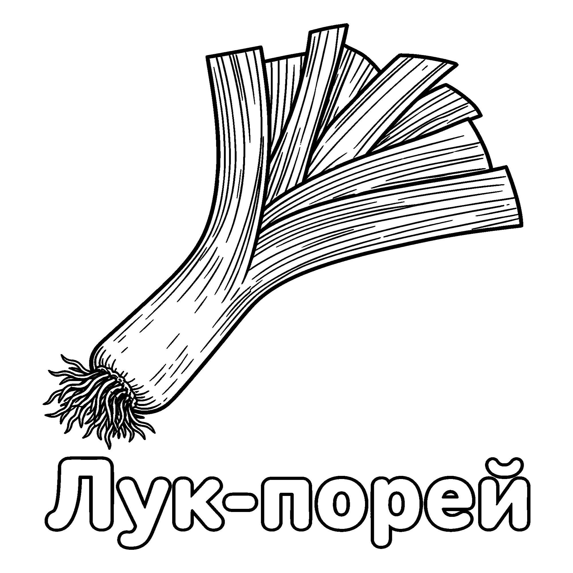 Лук-порей №3705. Обучающие и развивающие раскраски для детского сада, для начальных классов. Овощи.