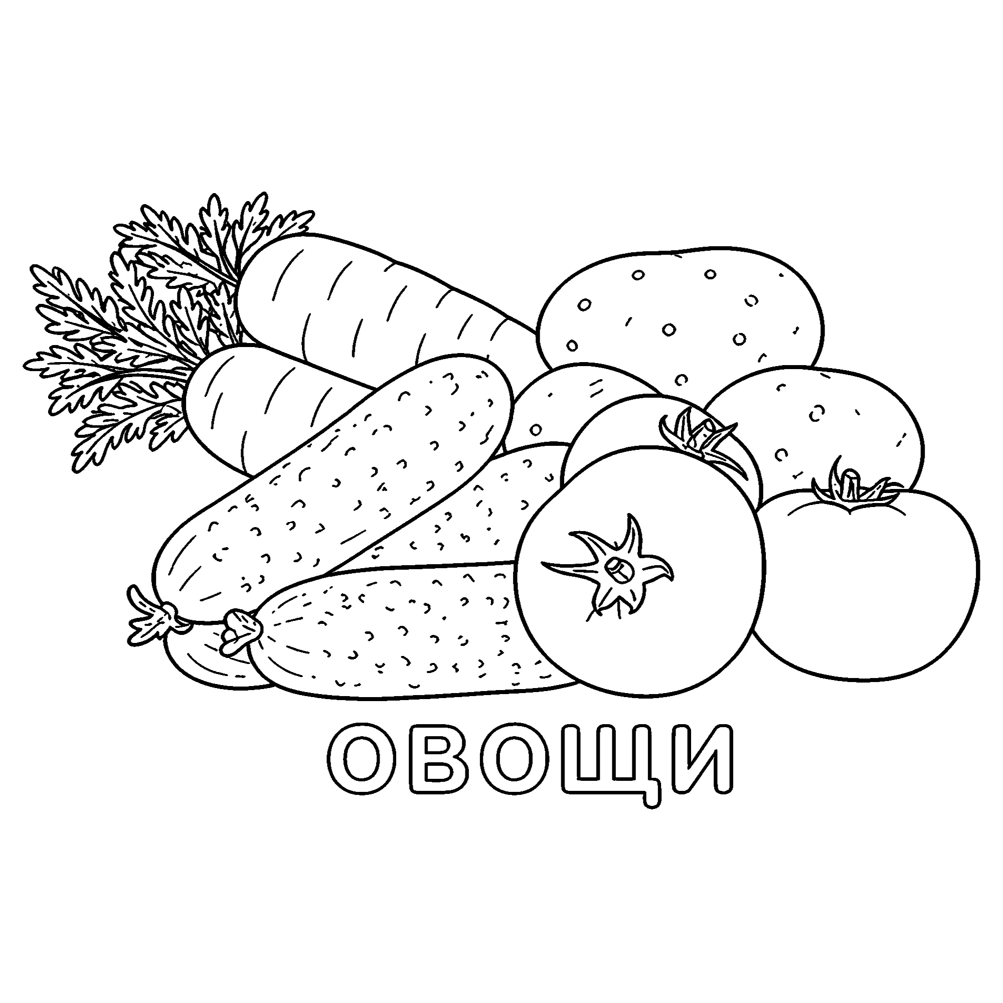 Любимые овощи №3688. Обучающие и развивающие раскраски для детского сада, для начальных классов. Овощи.