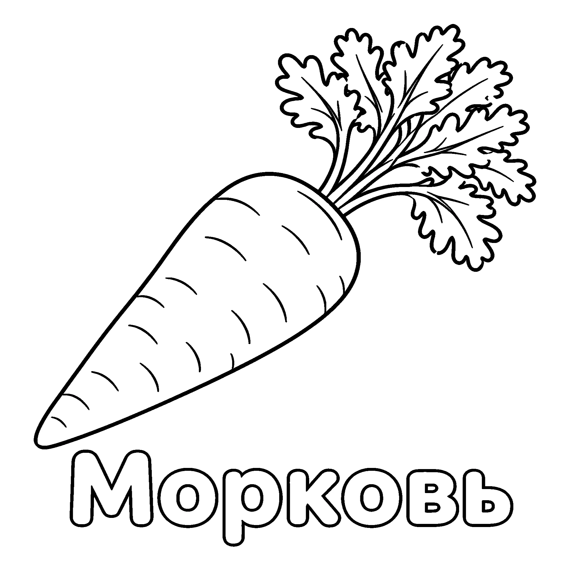 Морковь №3659. Обучающие и развивающие раскраски для детского сада, для начальных классов. Овощи.
