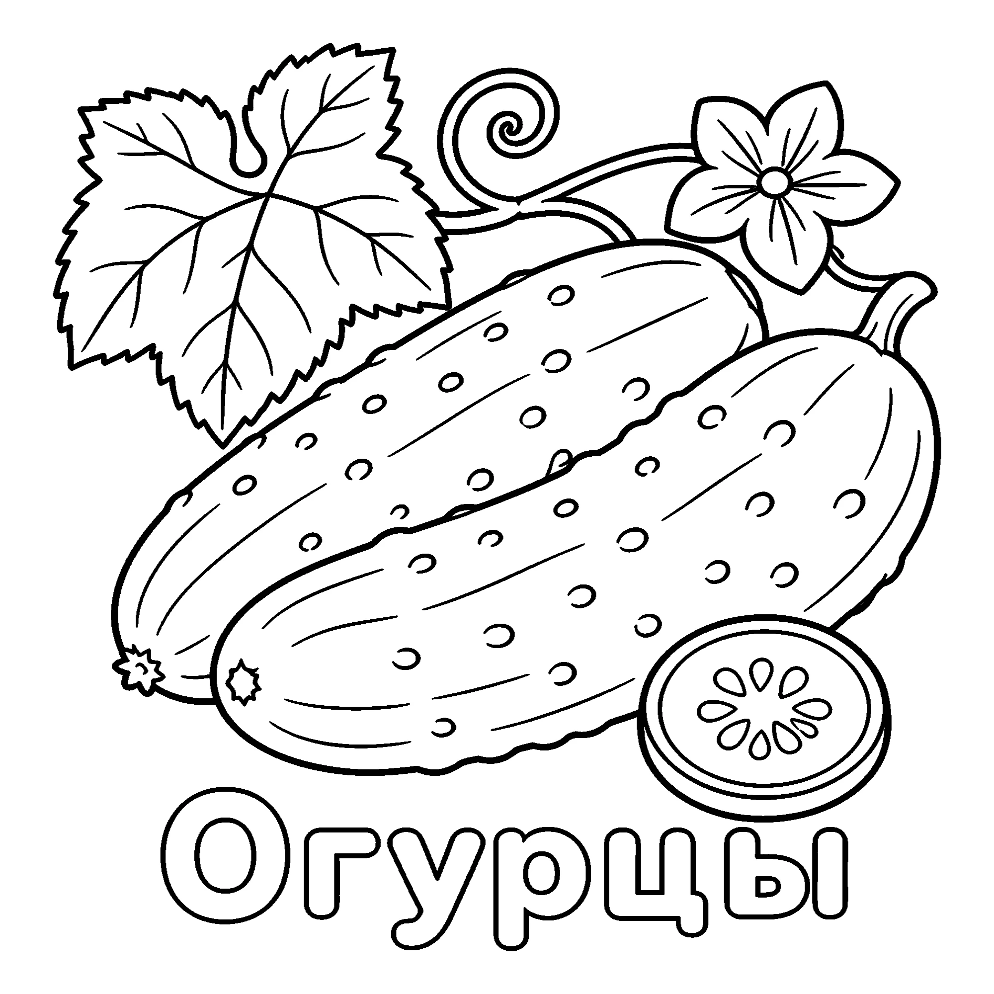 Огурцы №3661. Обучающие и развивающие раскраски для детского сада, для начальных классов. Овощи.