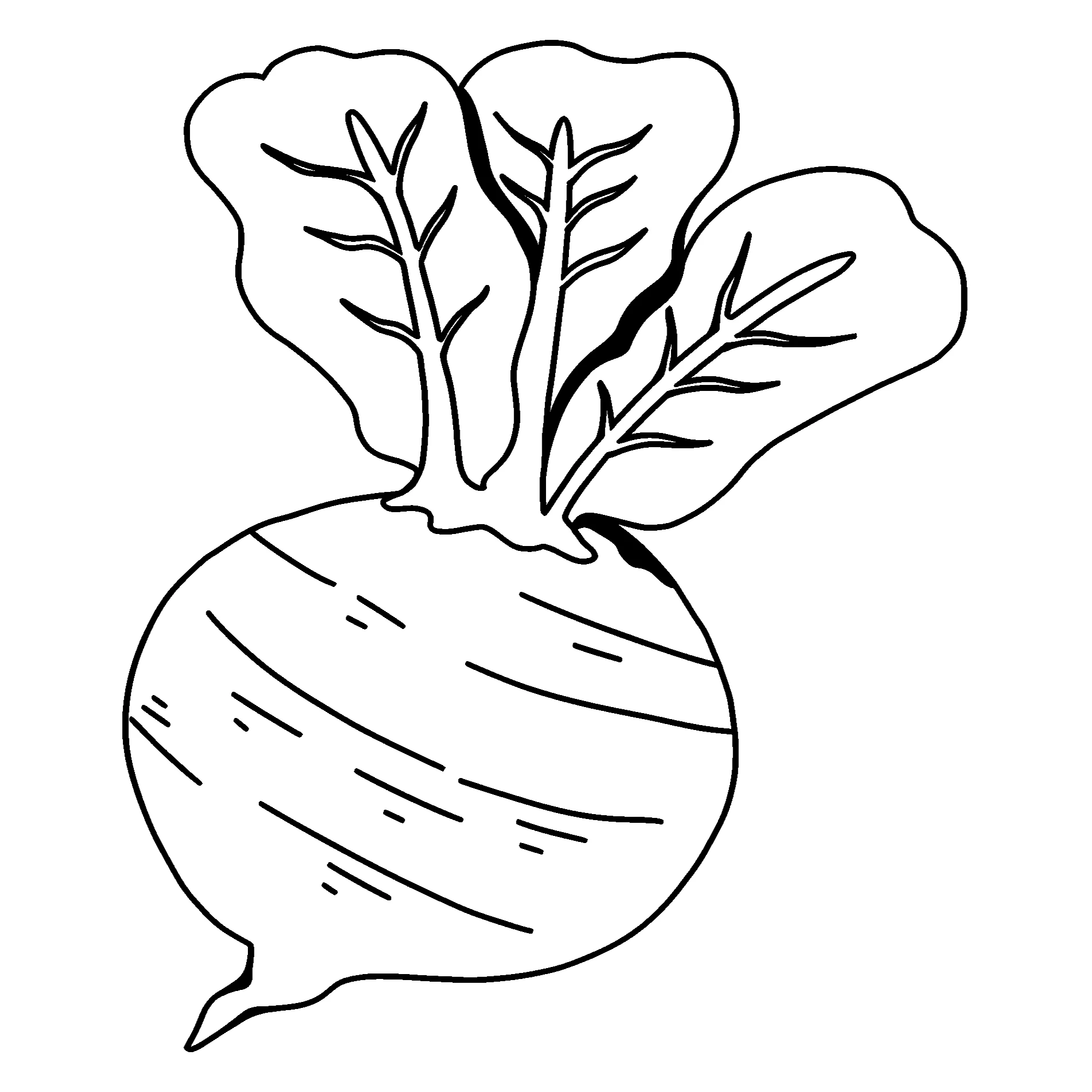 Свекла для малышей №3685. Обучающие и развивающие раскраски для детского сада, для начальных классов. Овощи.