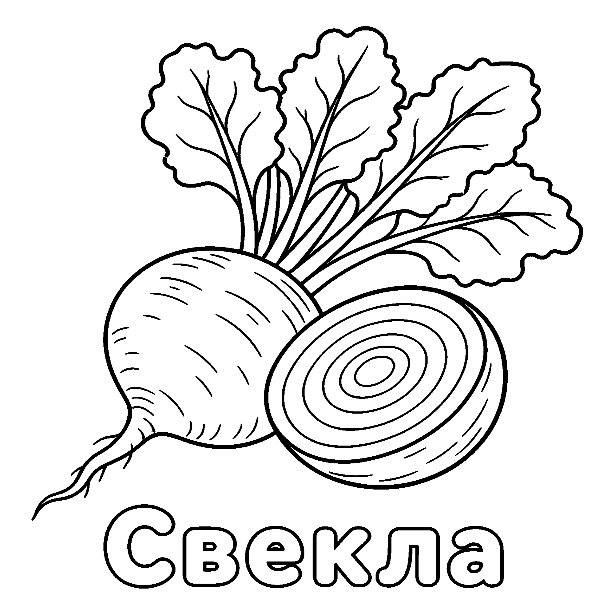 Свекла №3667. Обучающие и развивающие раскраски для детского сада, для начальных классов. Овощи.