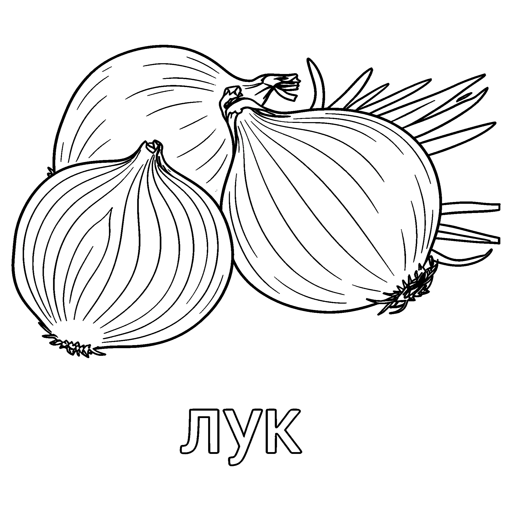 Три луковицы №3694. Обучающие и развивающие раскраски для детского сада, для начальных классов. Овощи.