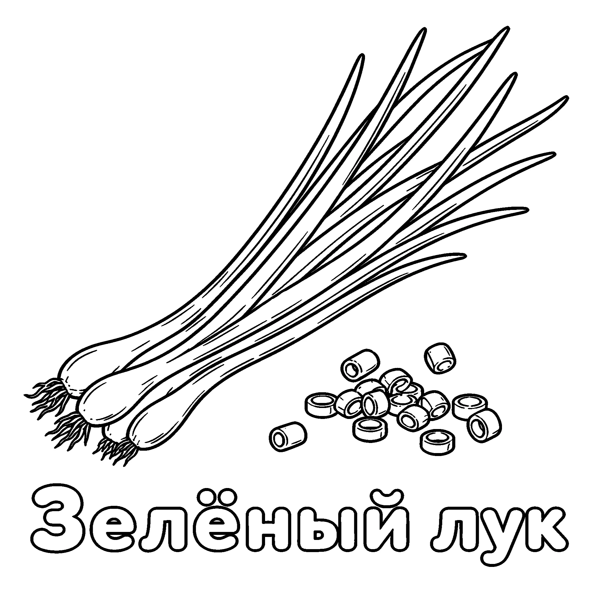 Зелёный лук Картинка для раскрашивания №3682. Обучающие и развивающие раскраски для детского сада, для начальных классов. Овощи.