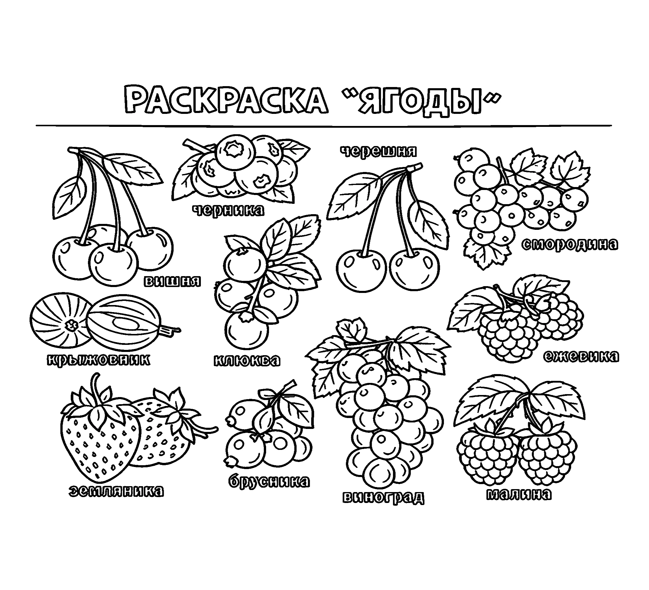 Раскраска Ягоды №3779. Обучающие и развивающие раскраски для детского сада, для начальных классов. Ягоды.