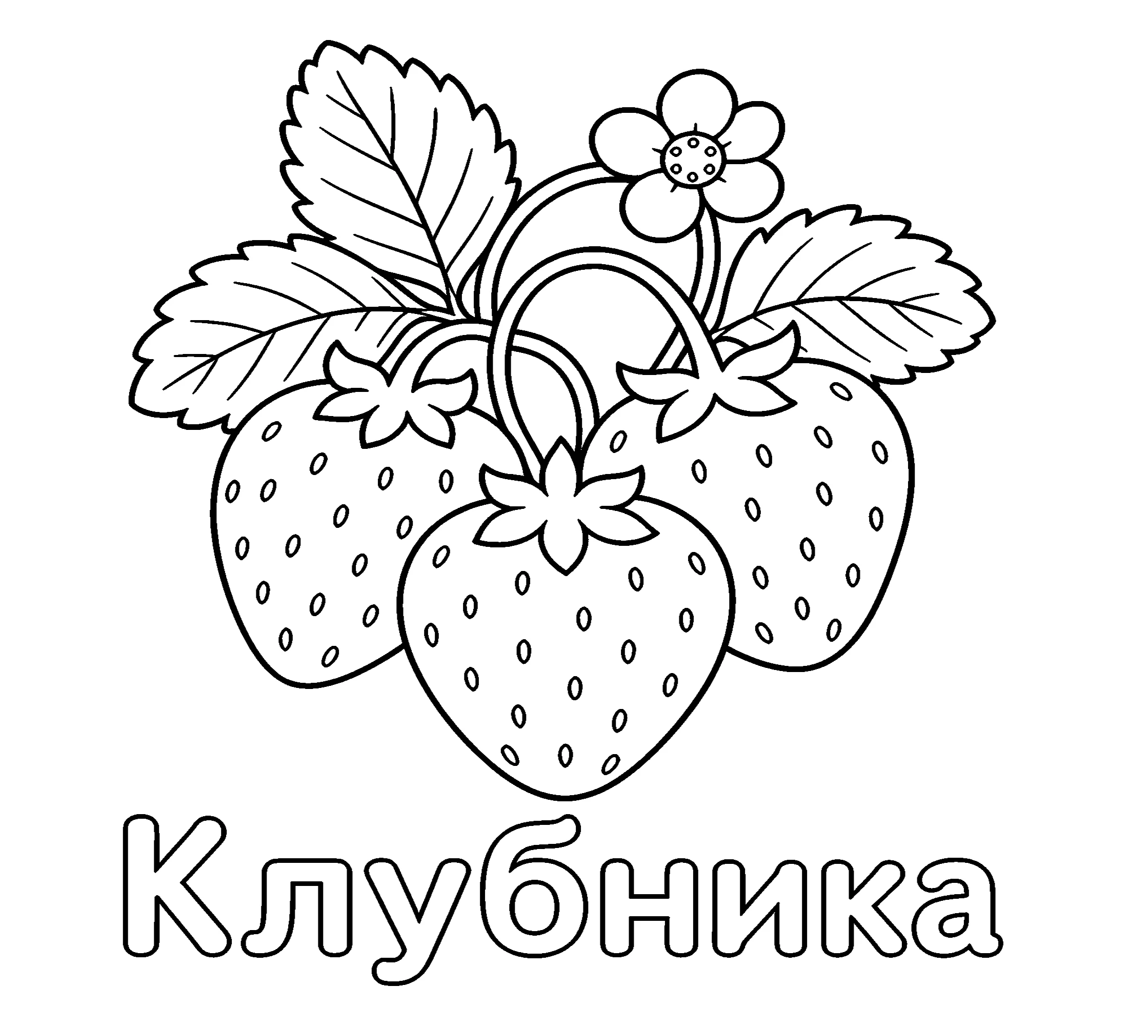 Ягода клубника Картинка №3776. Обучающие и развивающие раскраски для детского сада, для начальных классов. Ягоды.