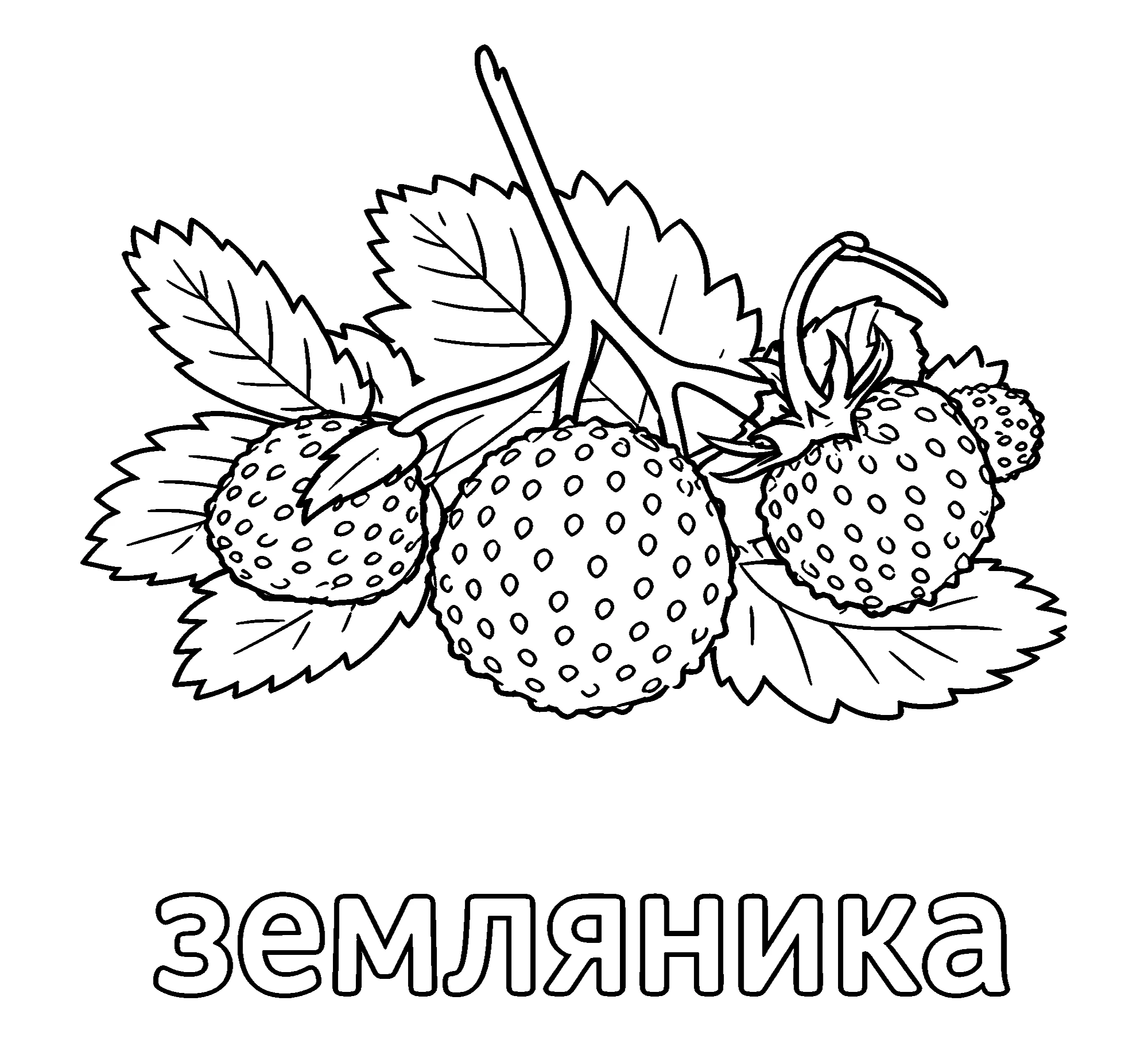 Ягода земляника Разукрашка №3801. Обучающие и развивающие раскраски для детского сада, для начальных классов. Ягоды.