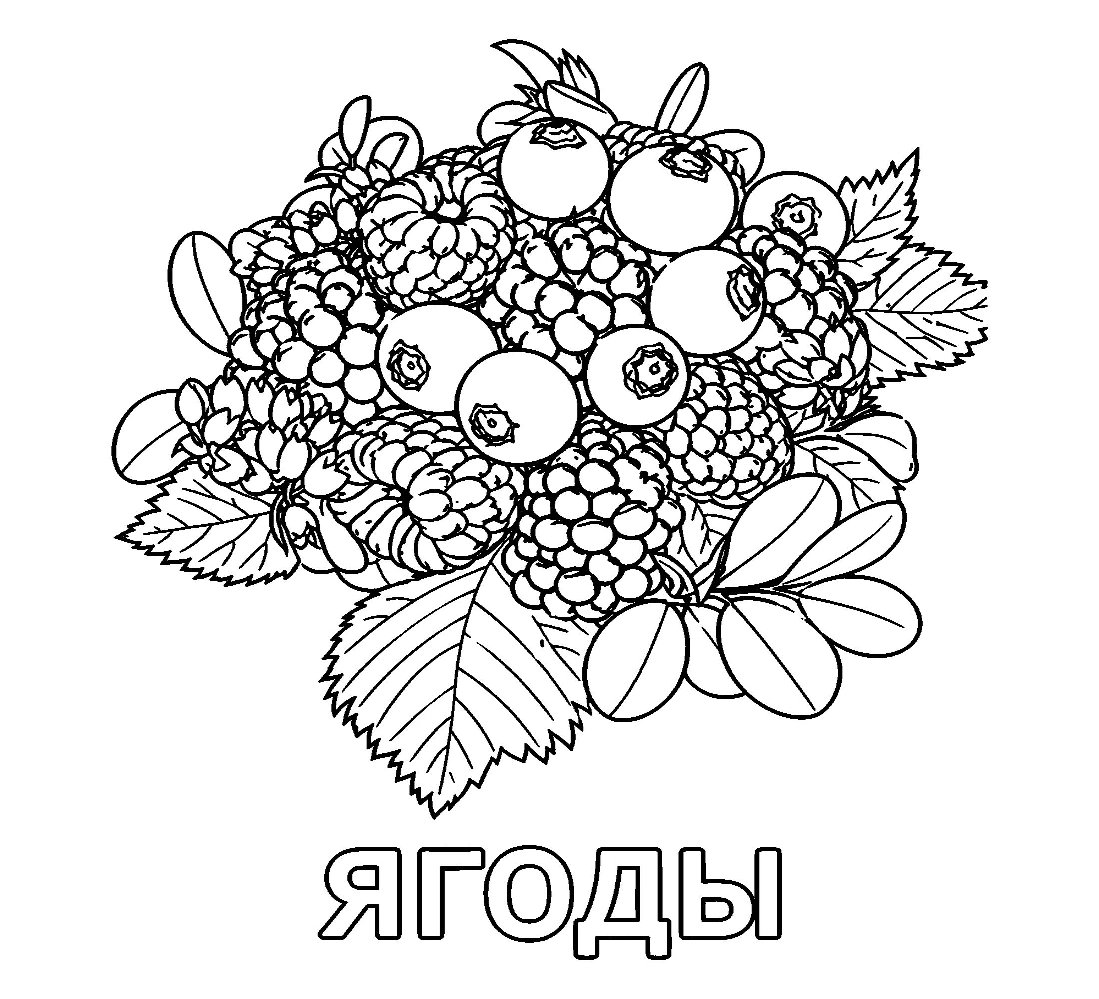 Ягоды для детей Картинка для раскрашивания №3802. Обучающие и развивающие раскраски для детского сада, для начальных классов. Ягоды.