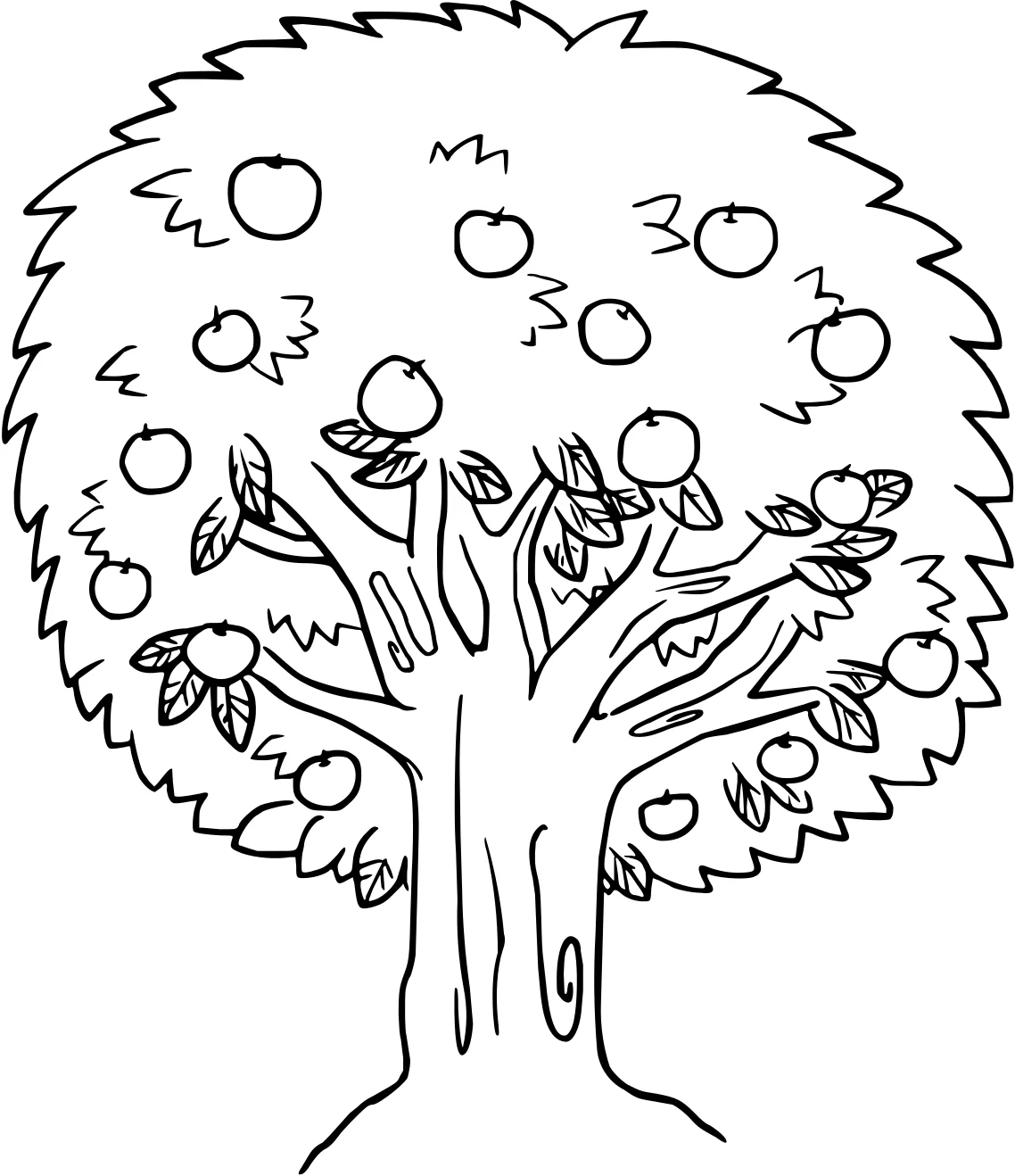 Дерево - яблоня №3600. Обучающие и развивающие раскраски для детского сада, для начальных классов. Яблони.