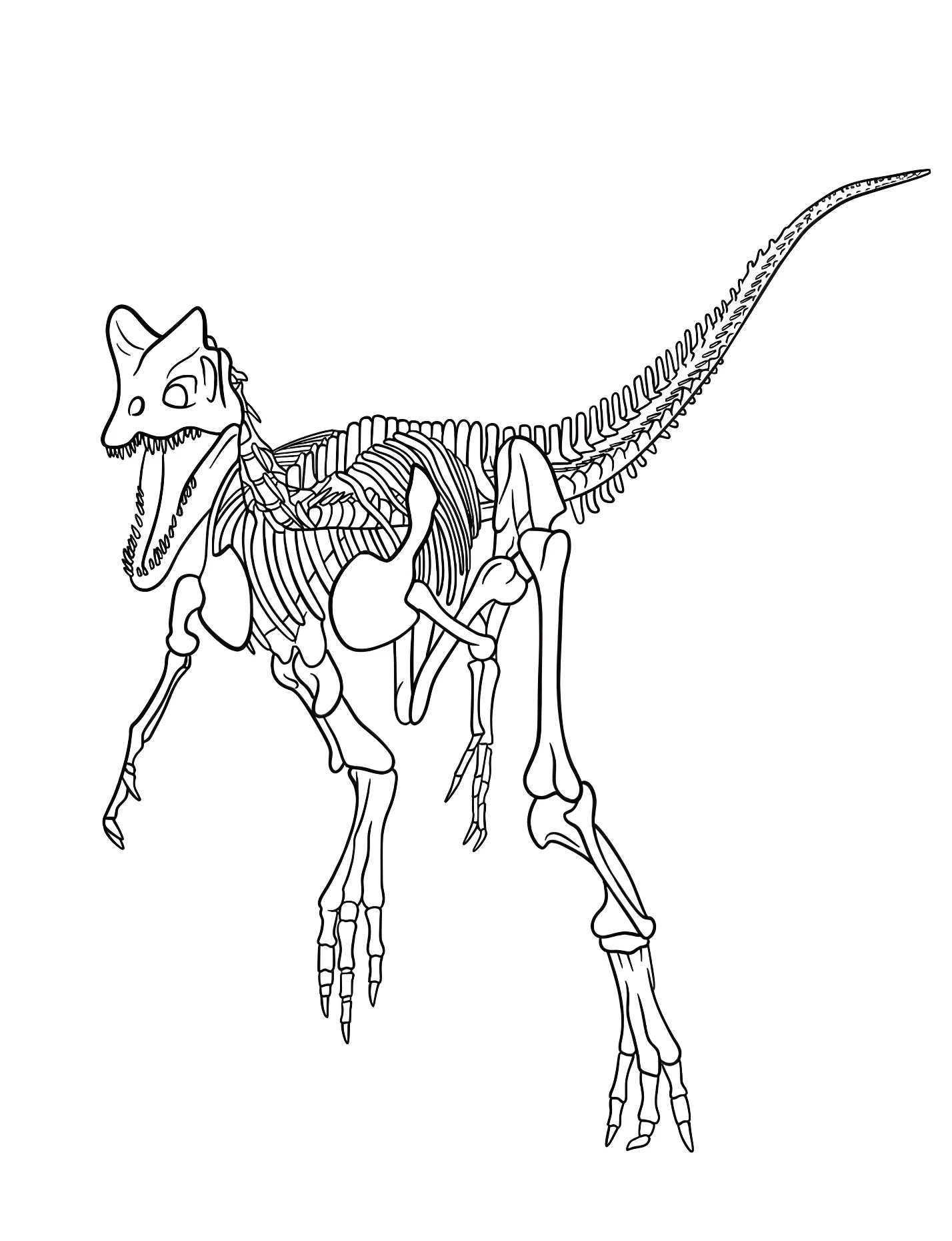 Скелет дилофозавра №21366. Динозавры. Дилофозавр (Dilophosaurus).
