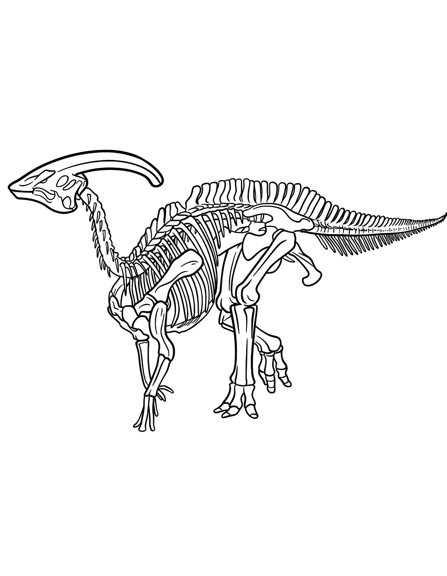 Паразауролоф №21481. Динозавры. Паразавролоф (Parasaurolophus).