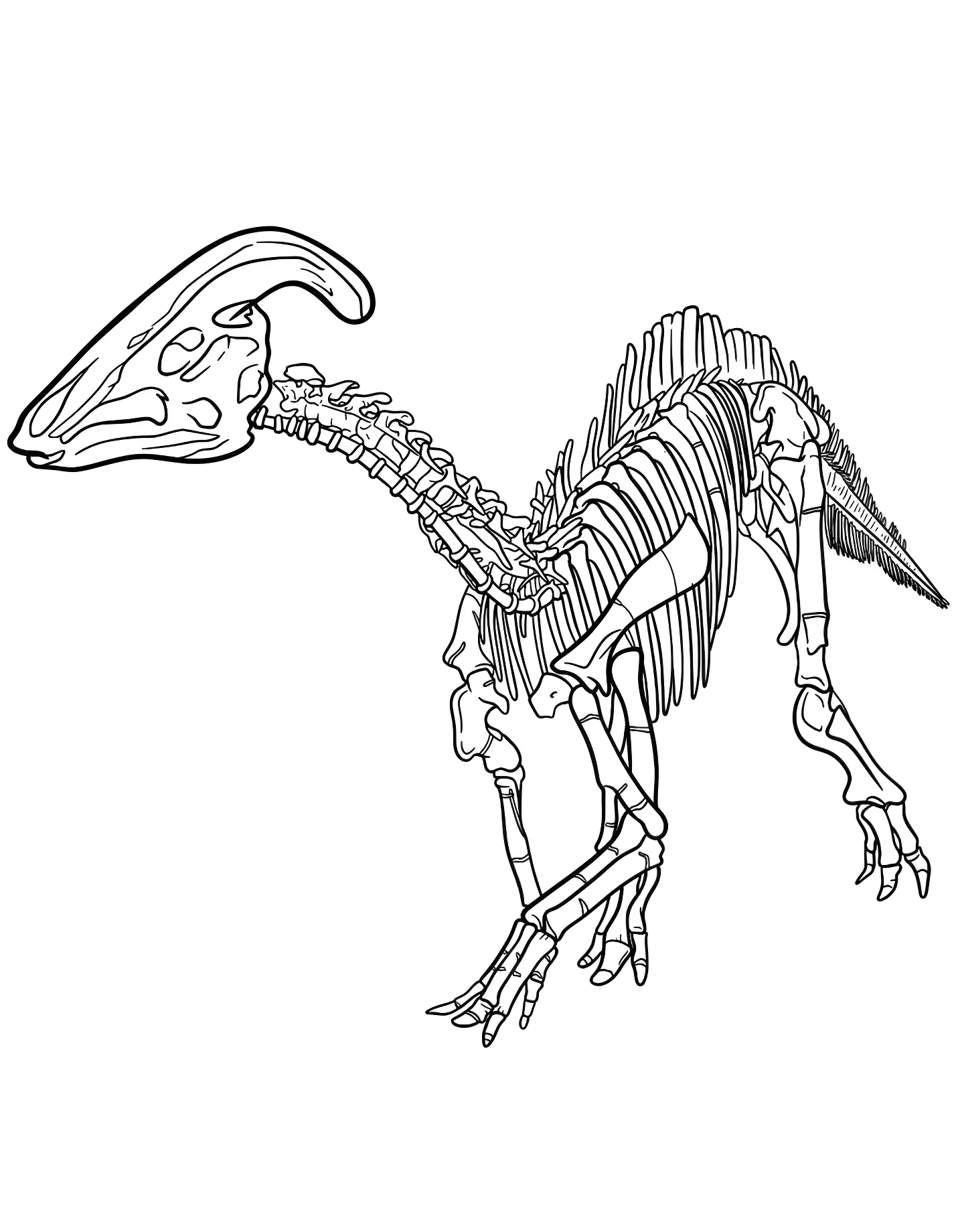 Паразауролоф – скелет динозавра №21483. Динозавры. Паразавролоф (Parasaurolophus).