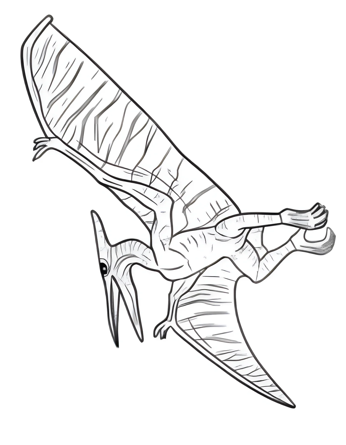 Птерозавр с большими крыльями №21509. Динозавры. Птеродактиль (Pterodactylus).