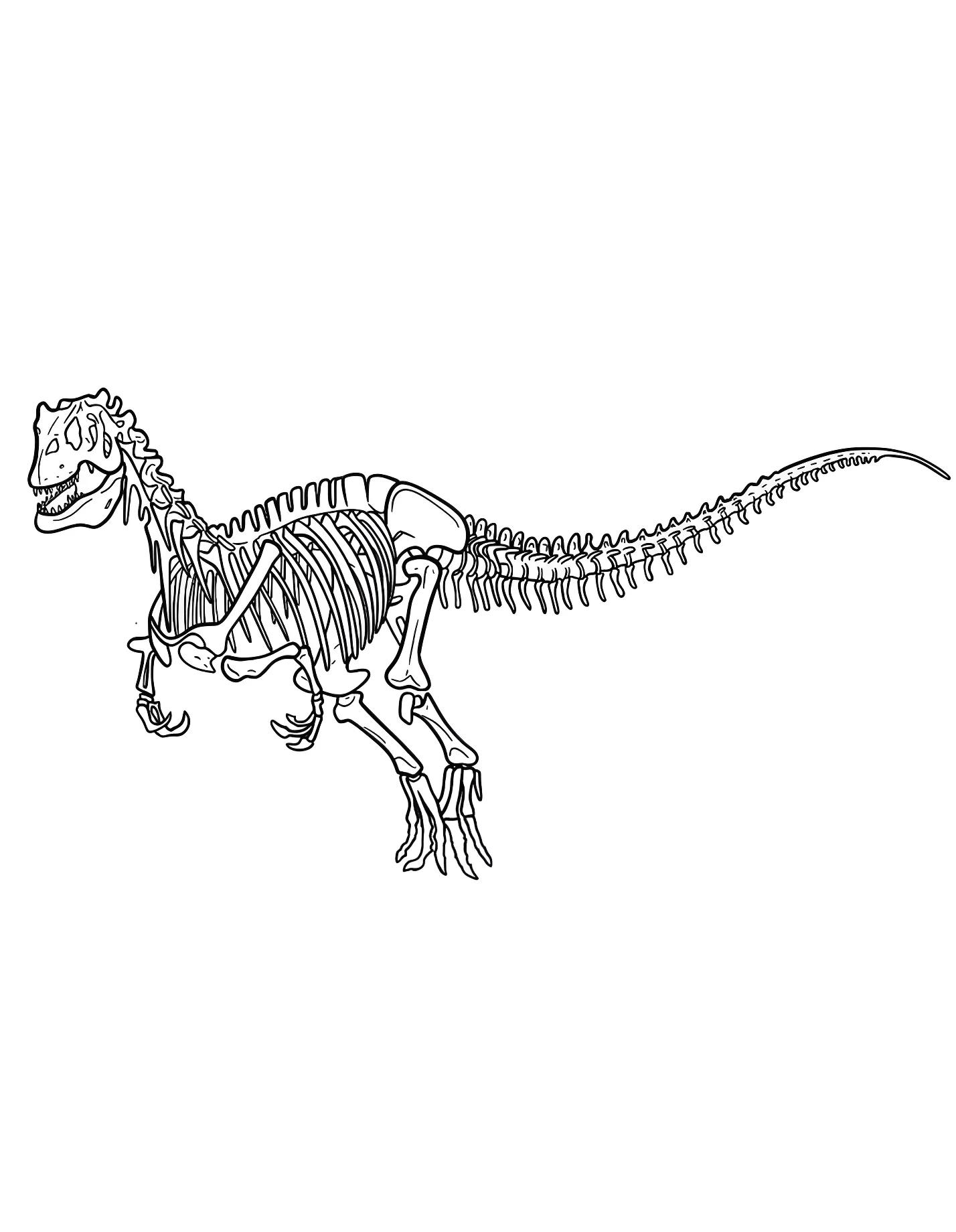 Скелет аллозавра №21295. Динозавры. Аллозавр (Allosaurus).