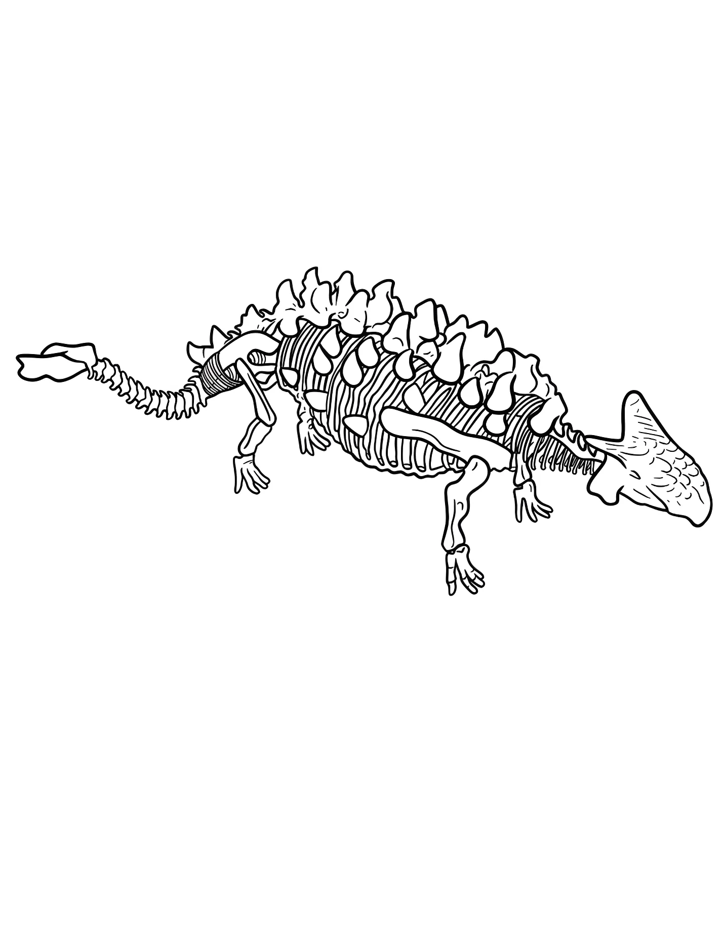 Скелет анкилозавра №21319. Динозавры. Анкилозавр (Ankylosaurus).