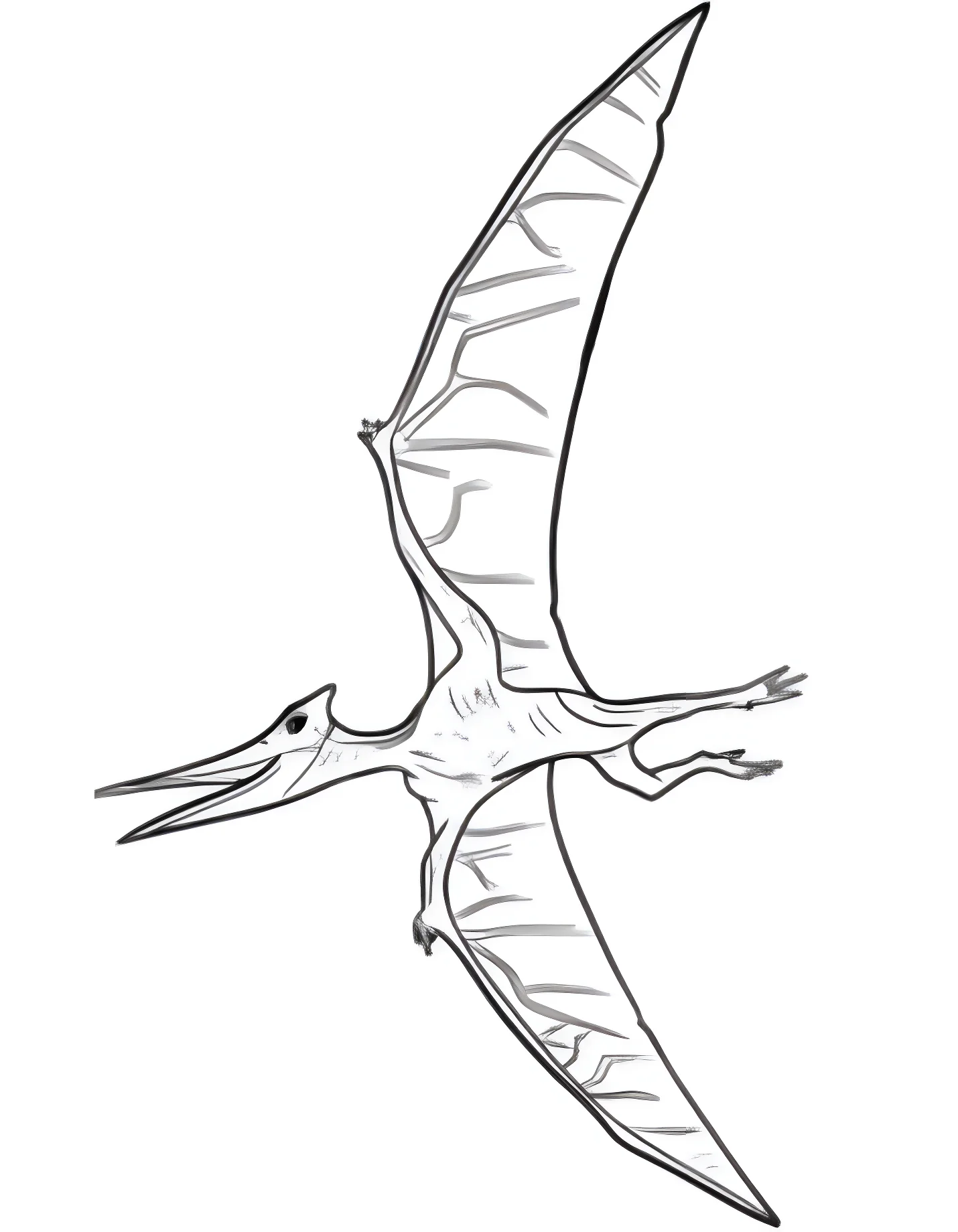 Птерозавр в полете №21513. Динозавры. Птеродактиль (Pterodactylus).