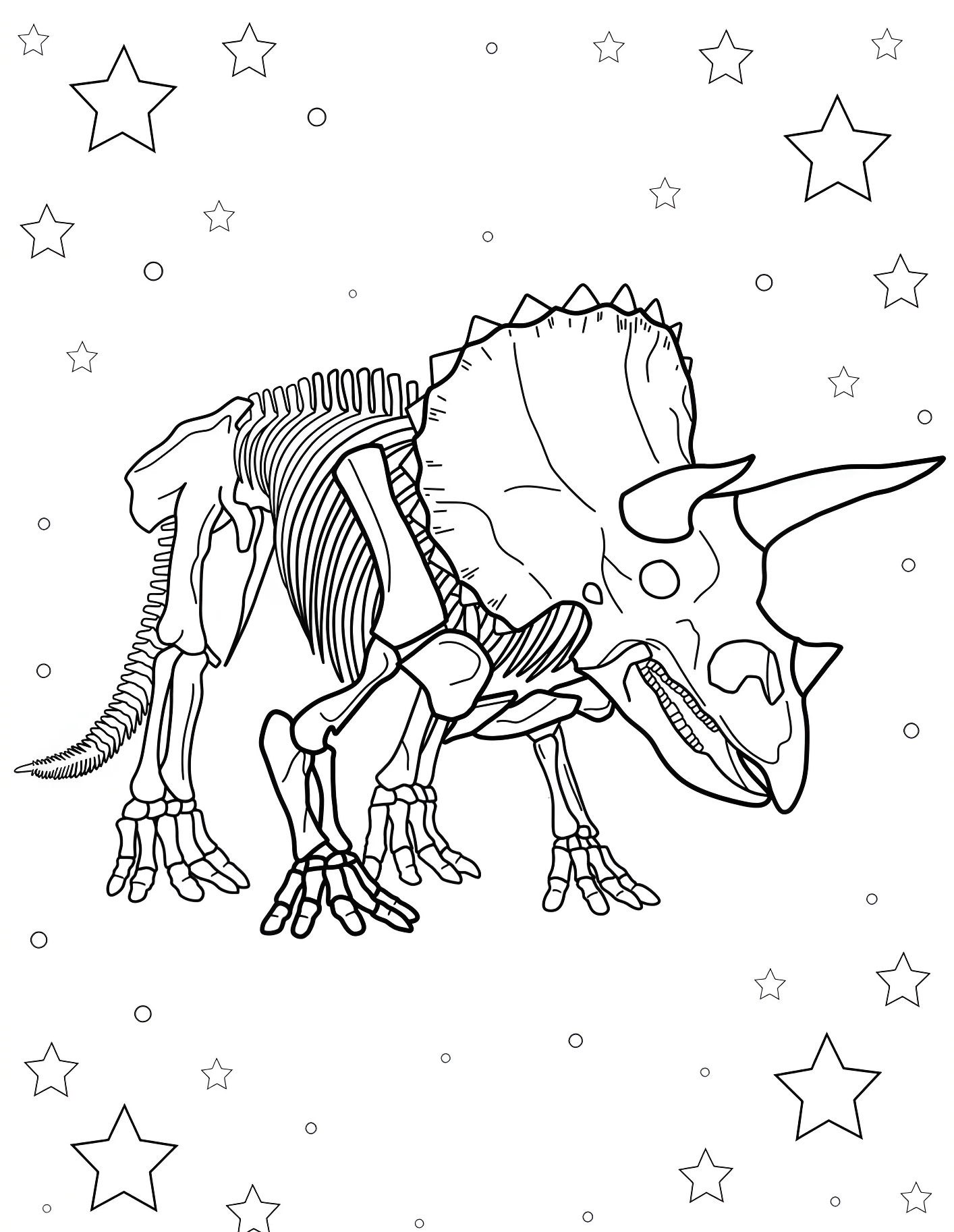 Скелет трицератопса №21636. Динозавры. Трицератопс (Triceratops).