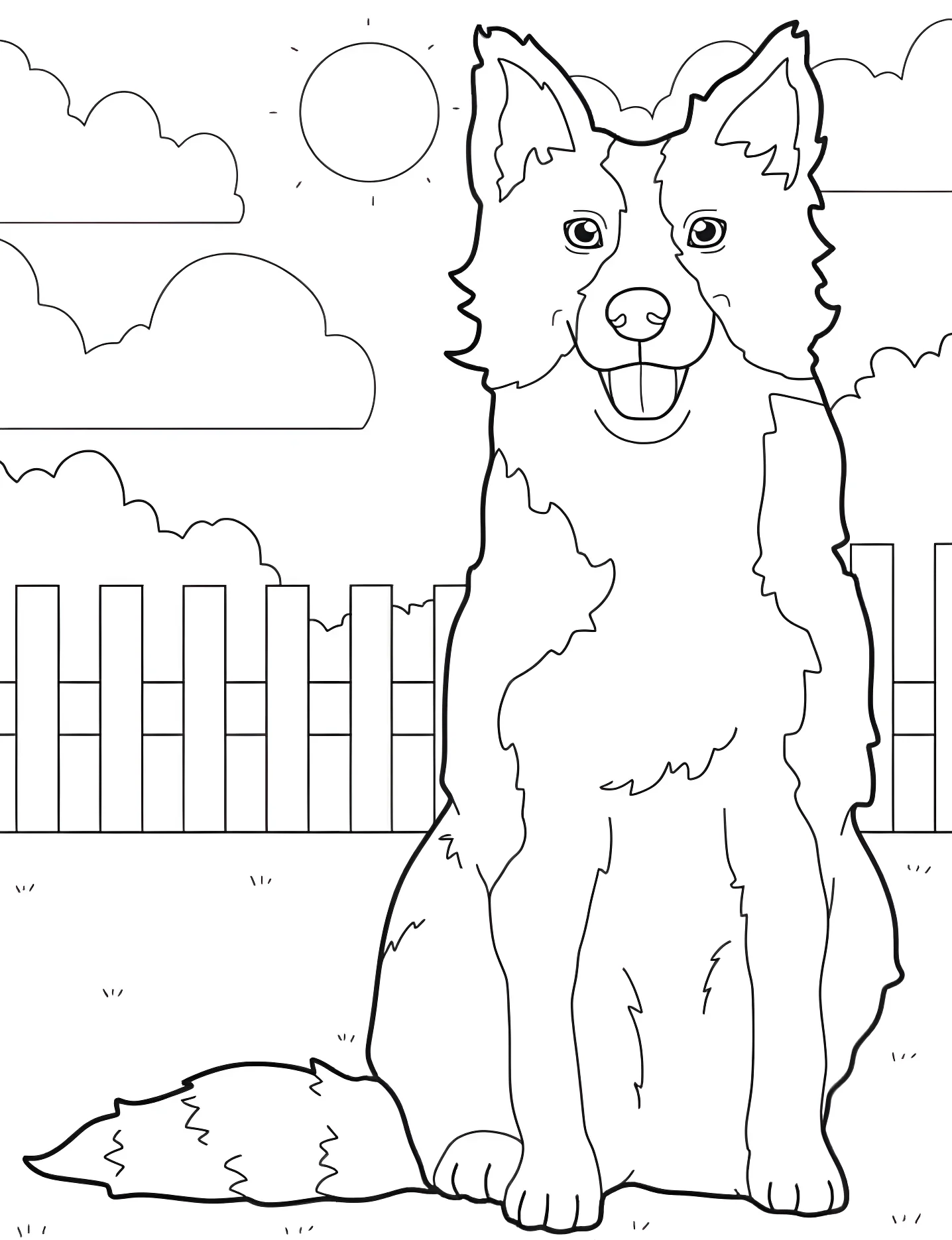 Милый Border Collie №6986. Раскраски для девочек по категориям. Собаки (Dog).