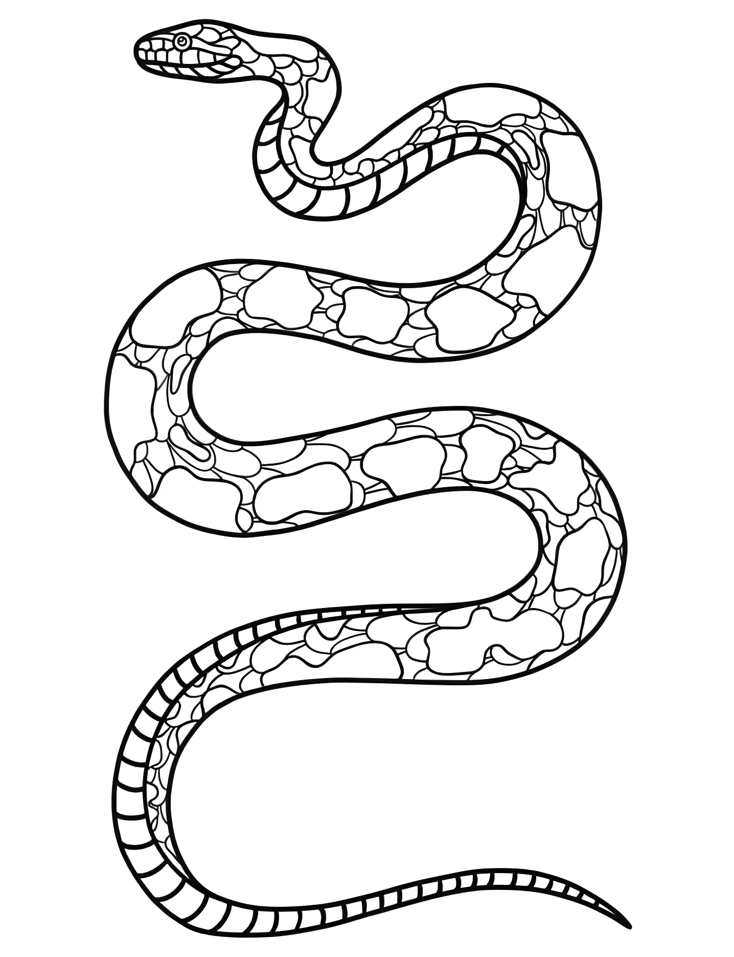 Красивый питон №9956. Раскраски для девочек по категориям. Змея (Snake).