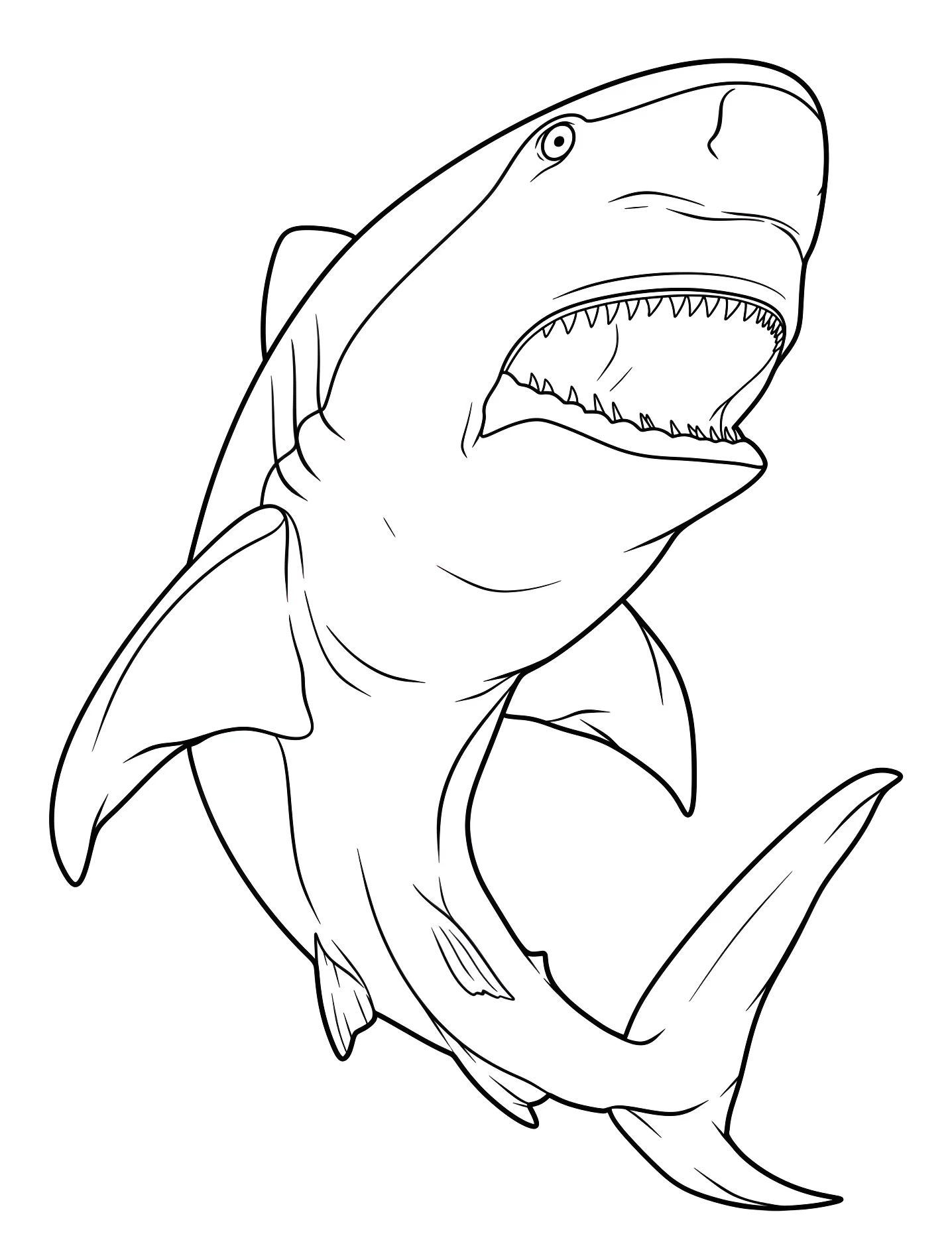 Большая акула №9860. Раскраски для девочек по категориям. Акула (Shark).