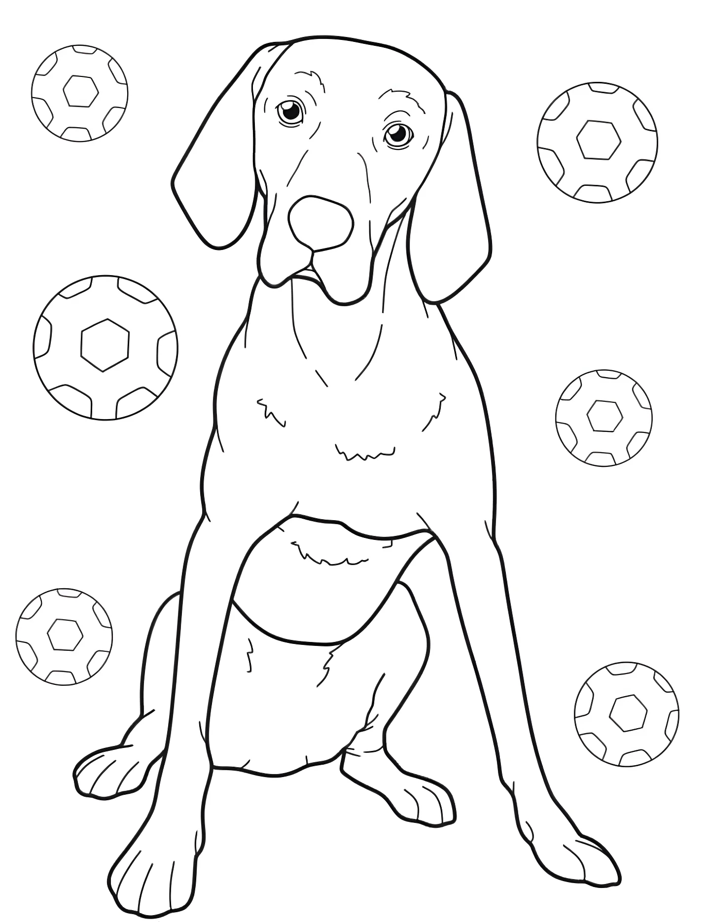 Веселый вижла №6999. Раскраски для девочек по категориям. Собаки (Dog).
