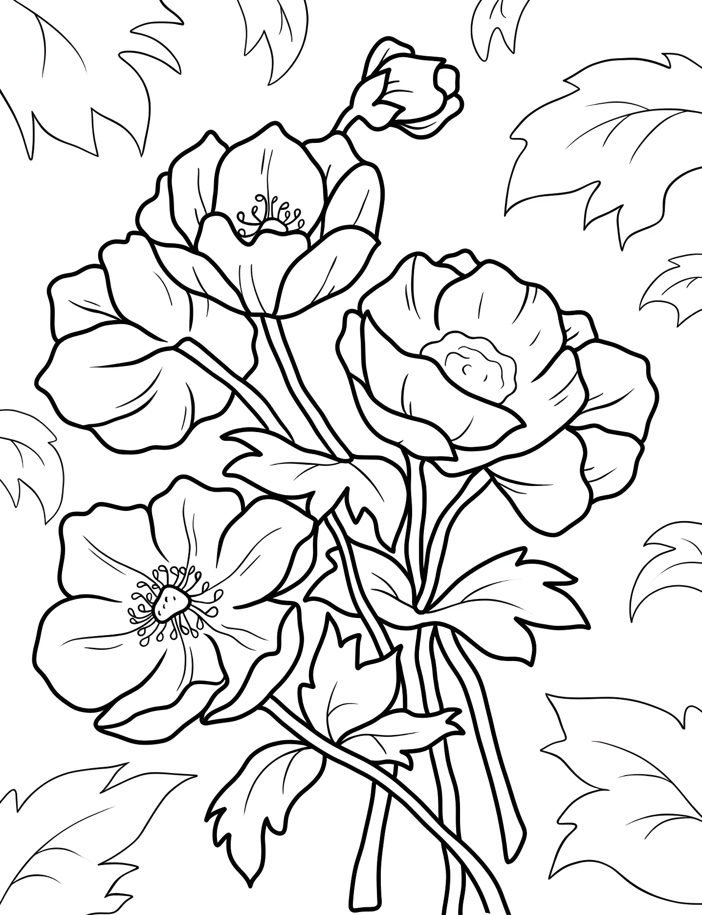 Красивые анемоны №7529. Раскраски для девочек по категориям. Цветы (Flower).